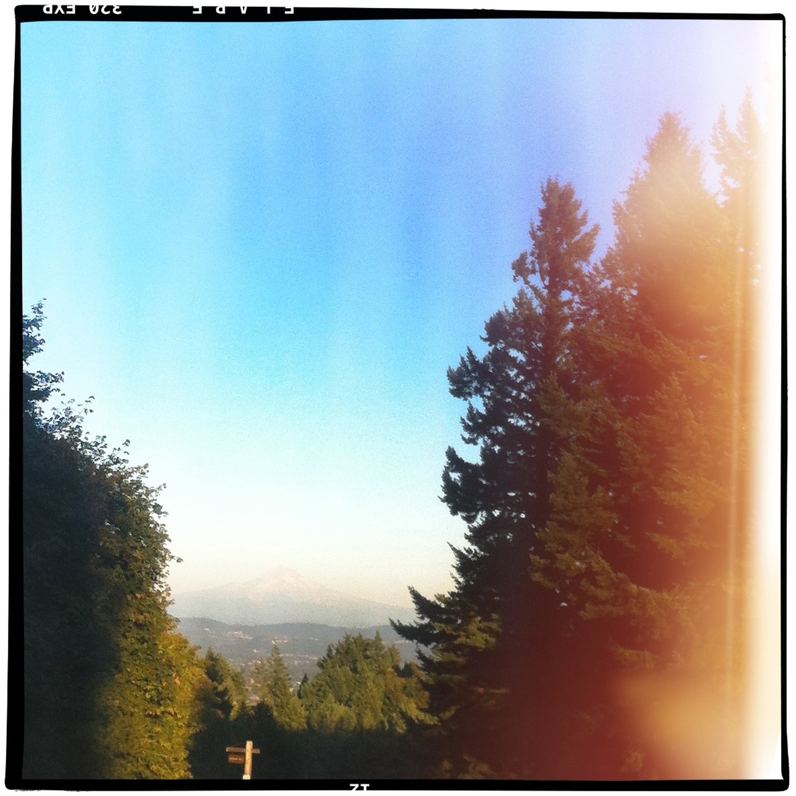 View from Council Crest toward Mt. Hood, which is visible