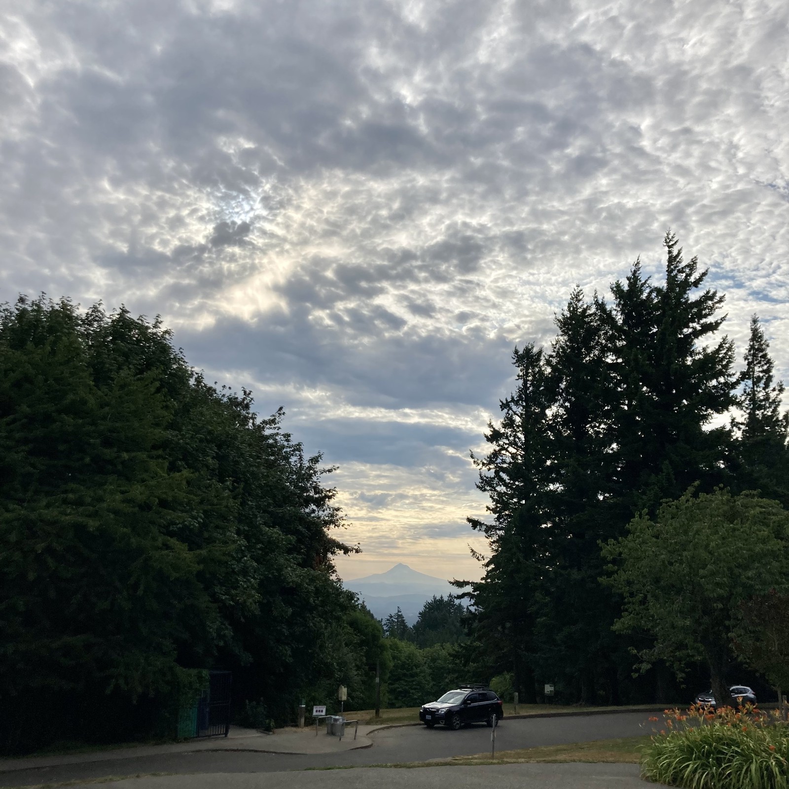 View from Council Crest toward Mt. Hood, which is visible