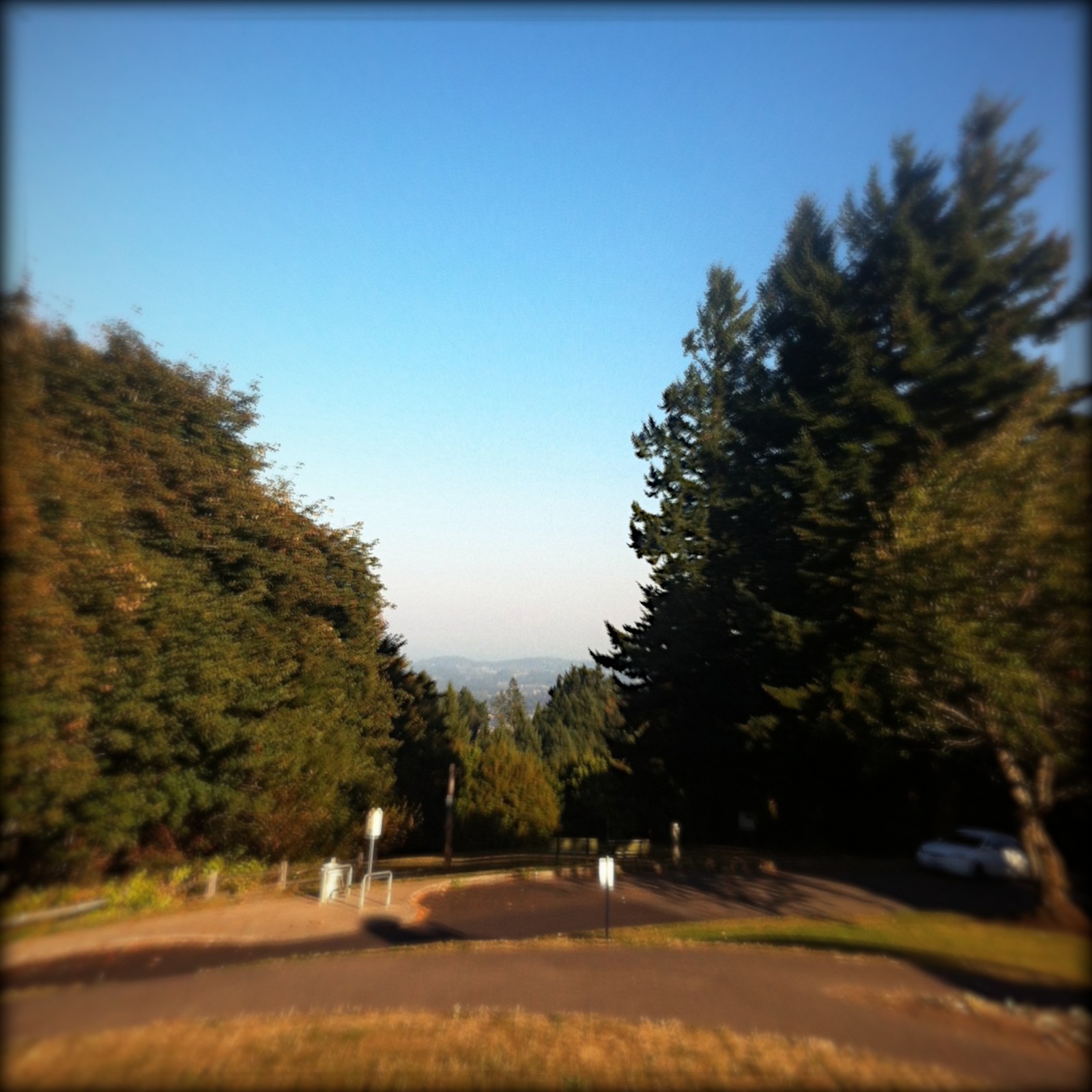 View from Council Crest toward Mt. Hood, which is visible