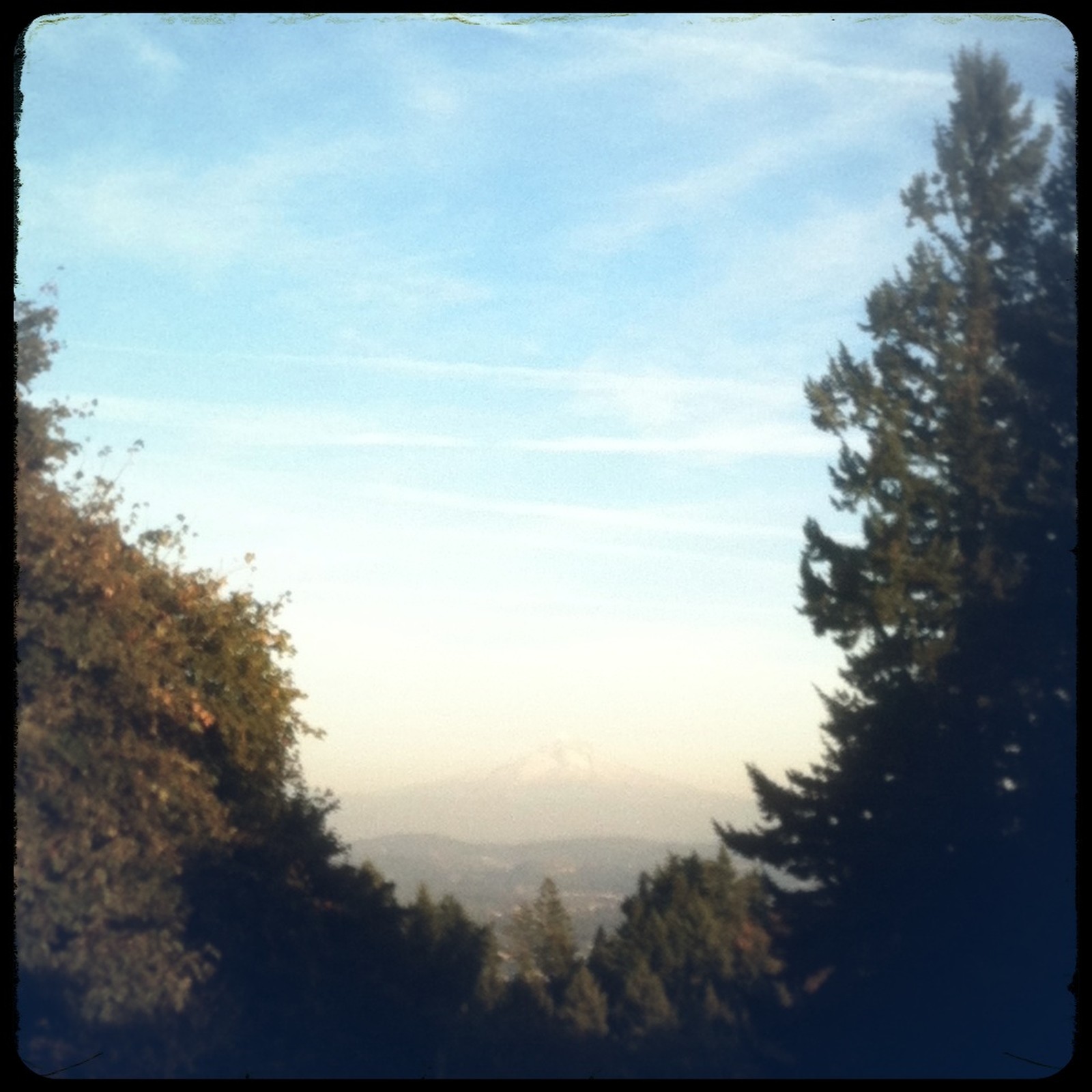 View from Council Crest toward Mt. Hood, which is visible