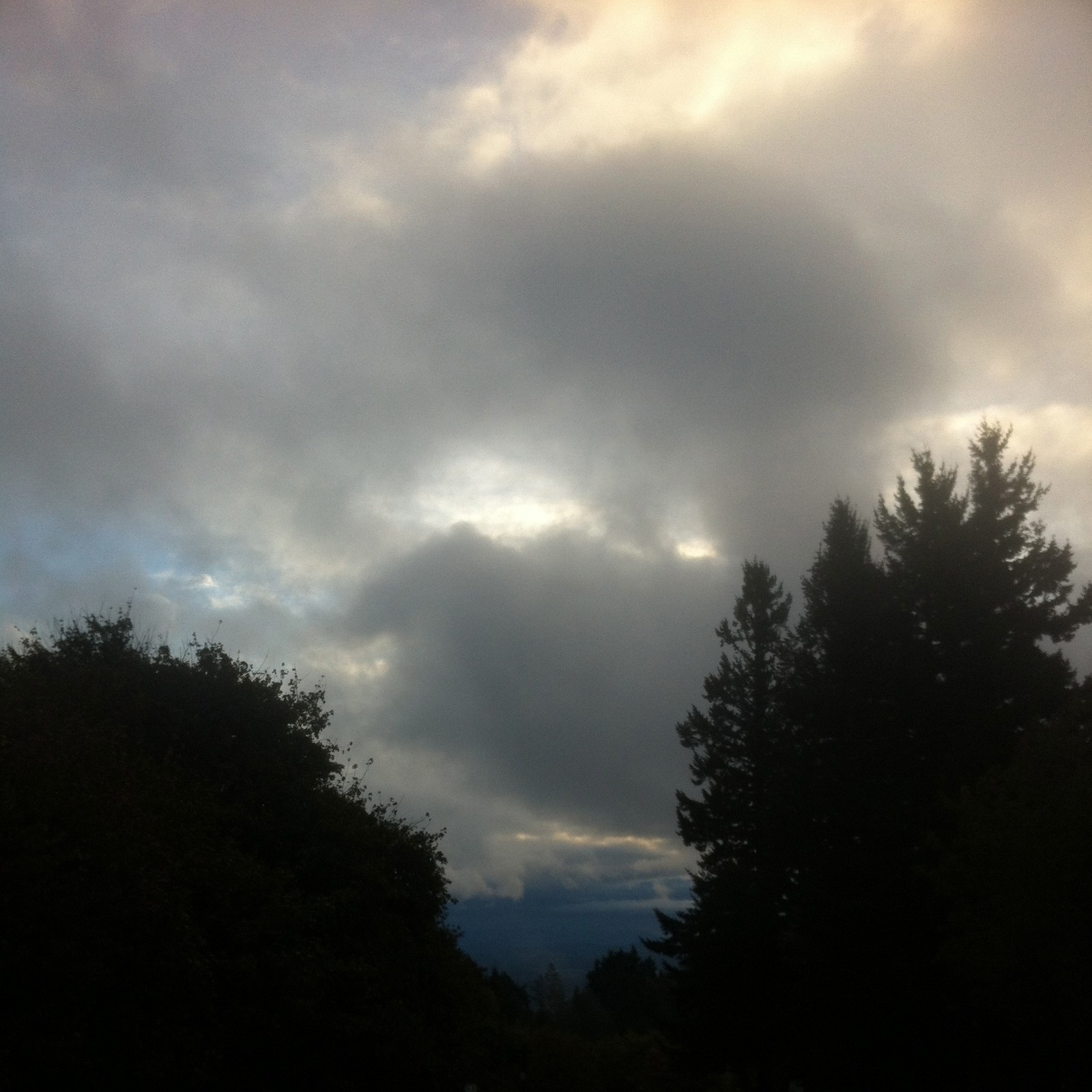 View from Council Crest toward Mt. Hood, which is NOT visible