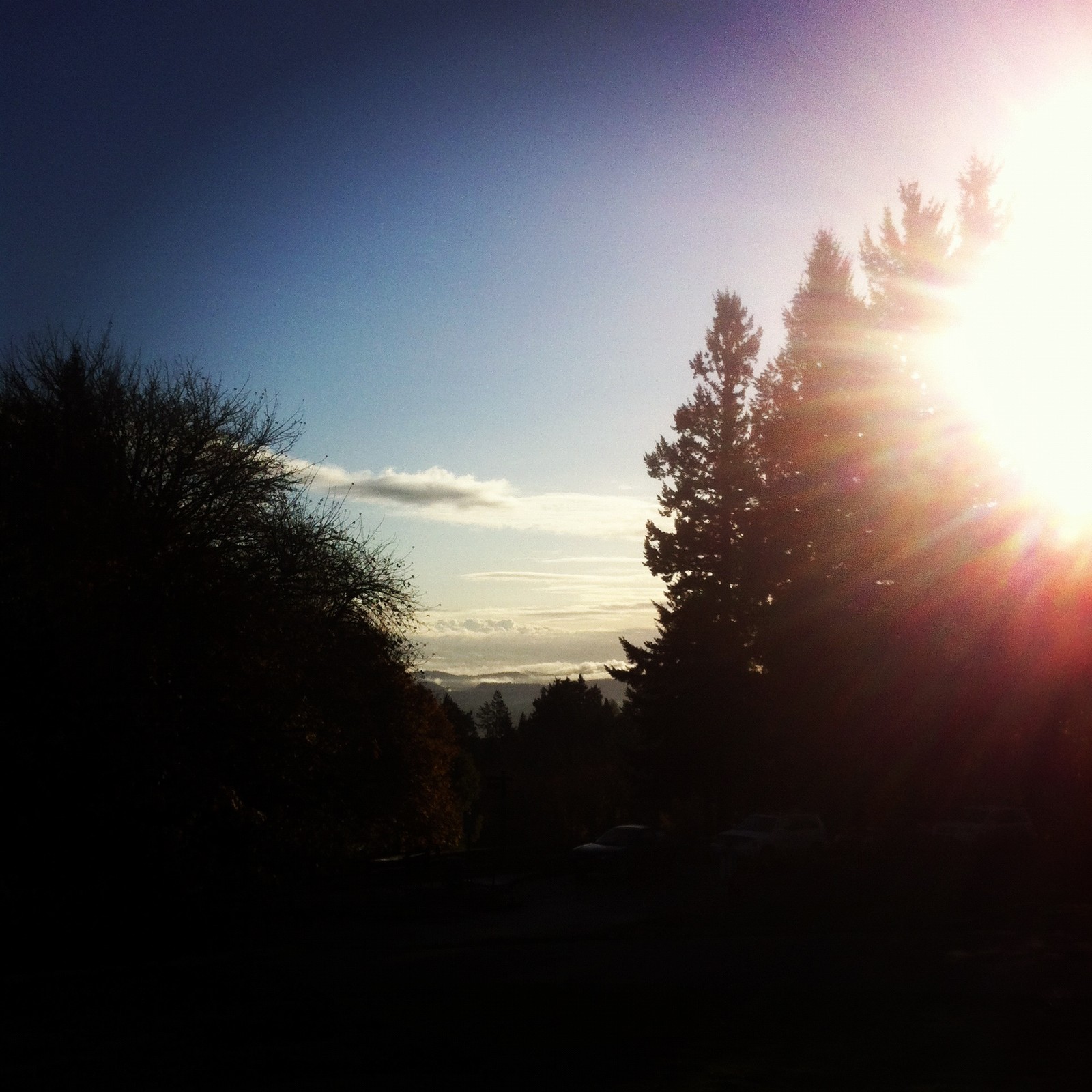 View from Council Crest toward Mt. Hood, which is NOT visible