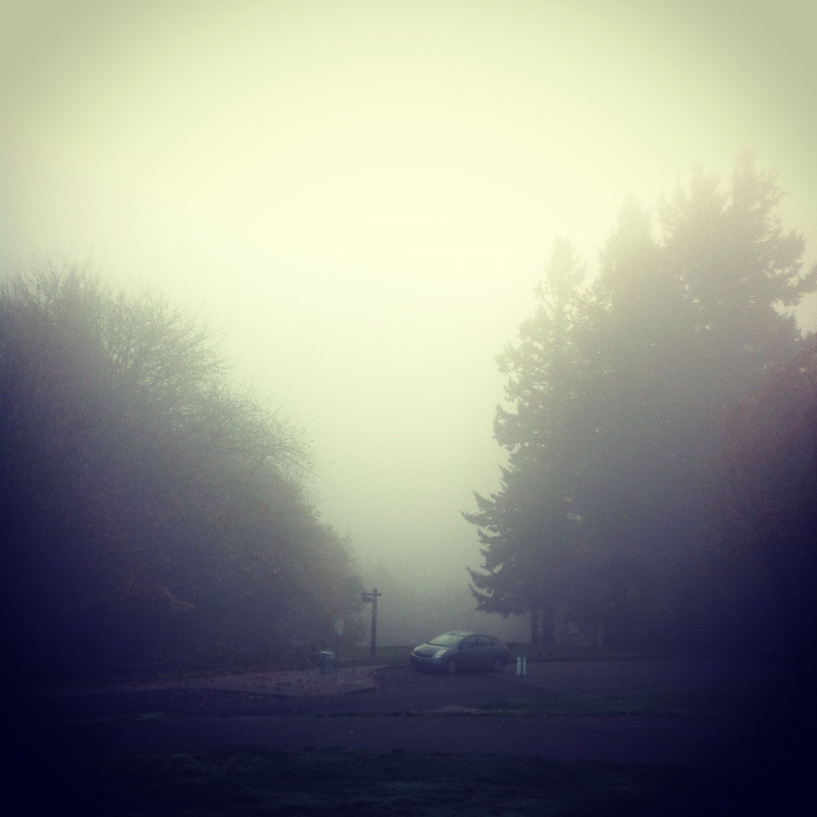 View from Council Crest toward Mt. Hood, which is NOT visible