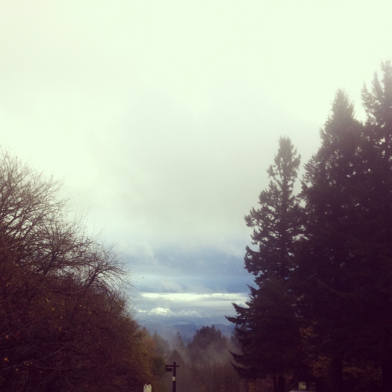 View from Council Crest toward Mt. Hood, which is NOT visible