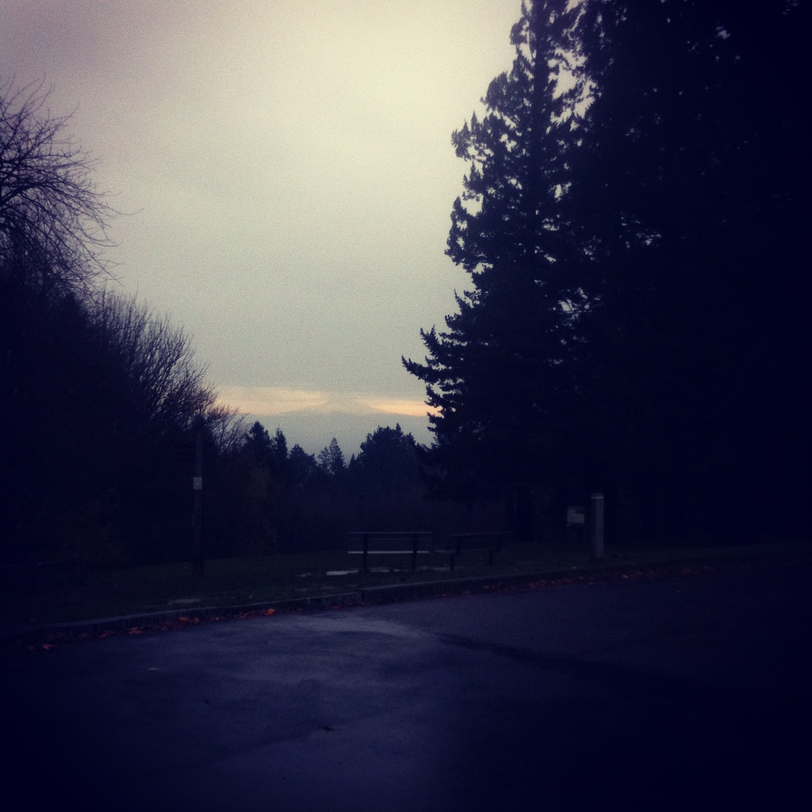View from Council Crest toward Mt. Hood, which is visible