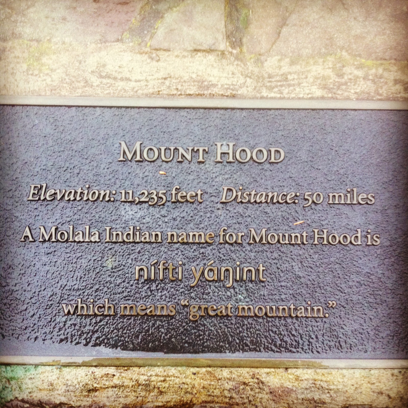 View from Council Crest toward Mt. Hood, which is NOT visible