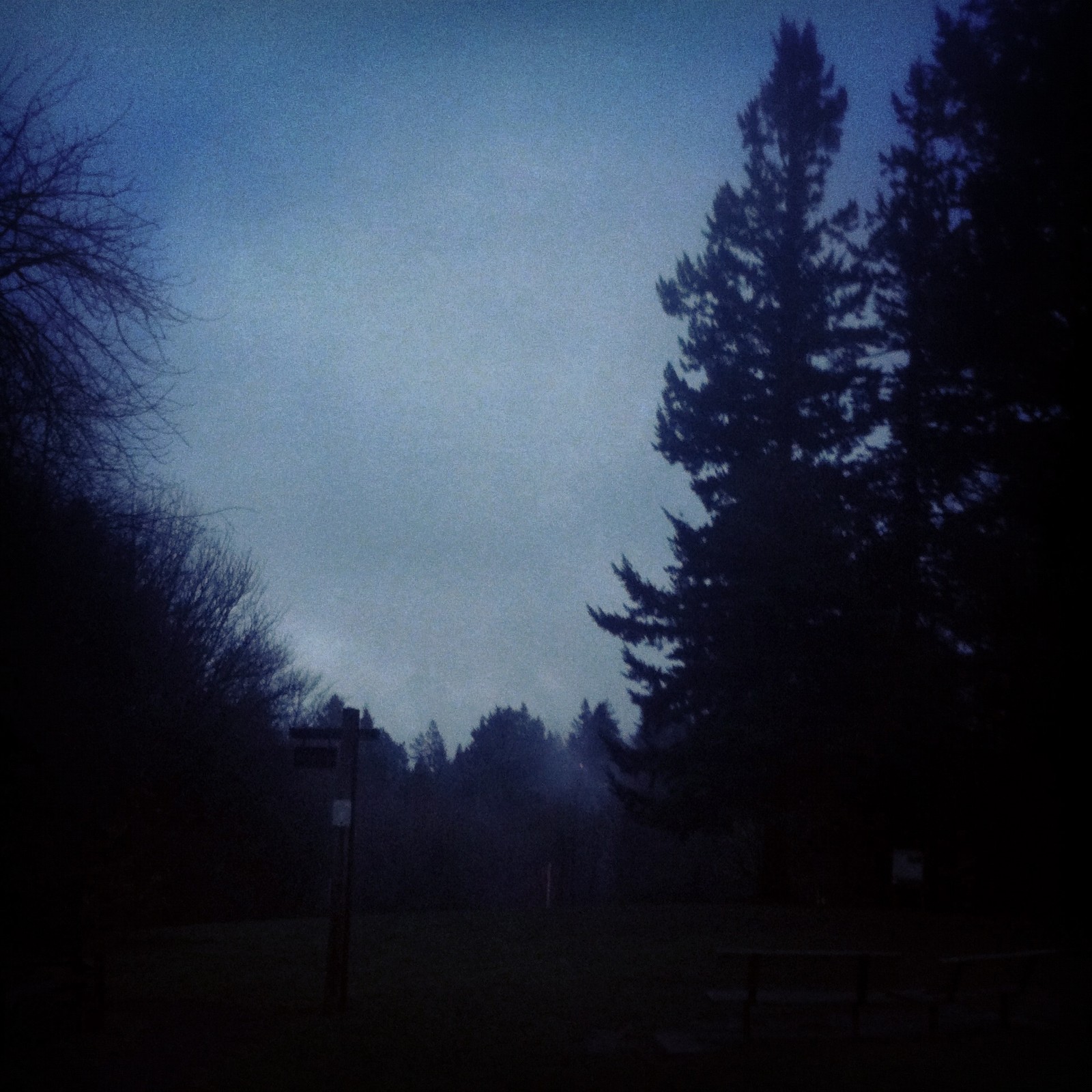 View from Council Crest toward Mt. Hood, which is NOT visible