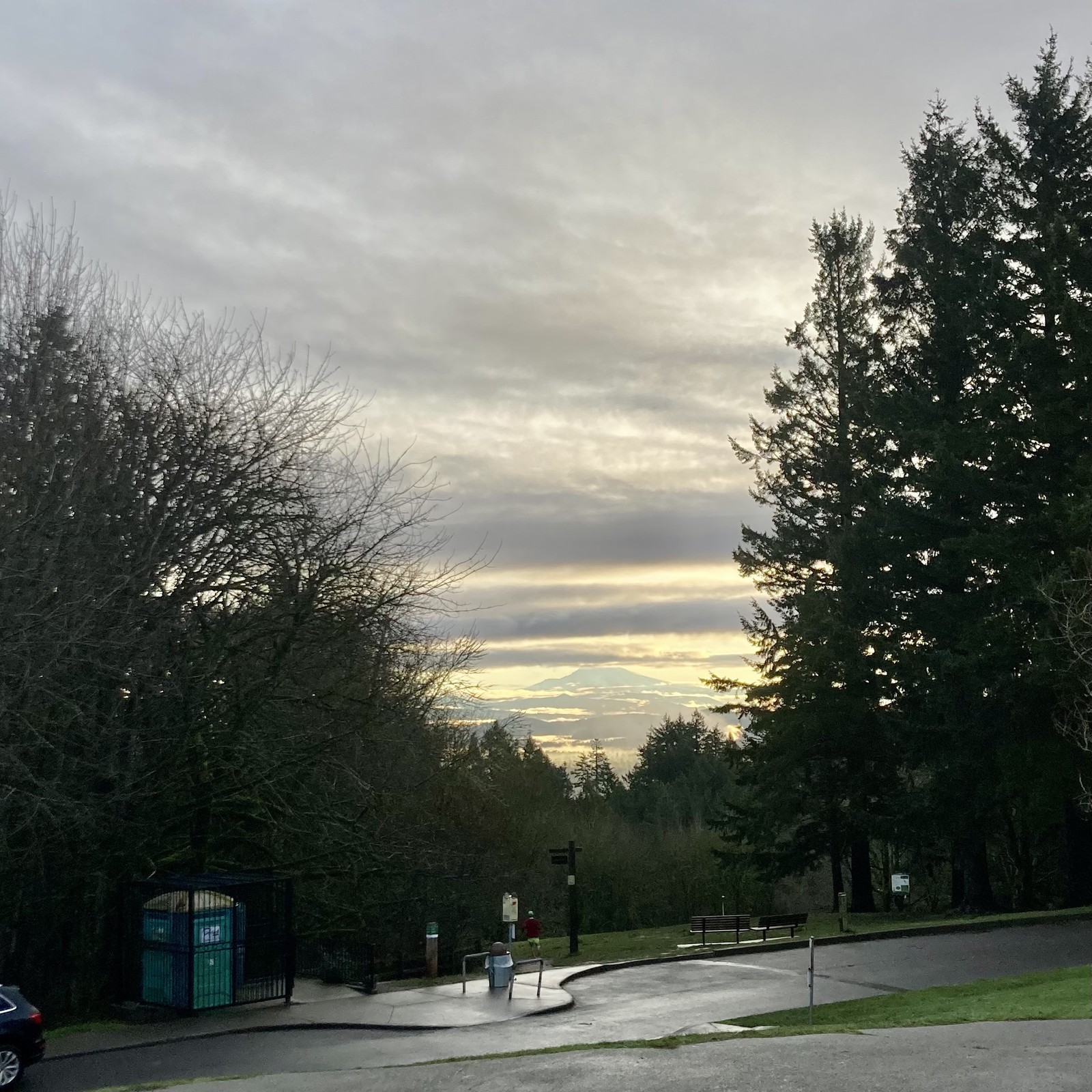 View from Council Crest toward Mt. Hood, which is visible