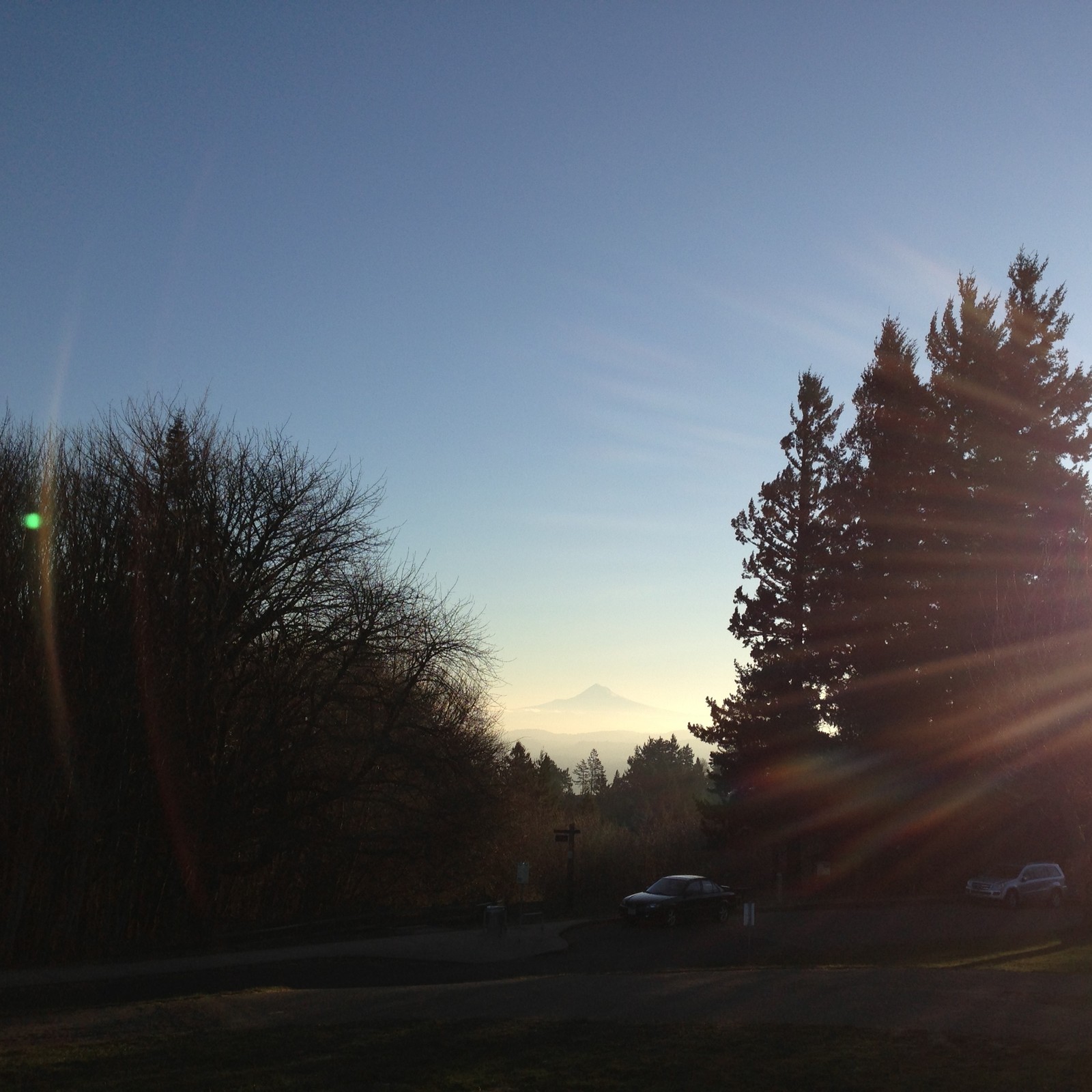 View from Council Crest toward Mt. Hood, which is visible
