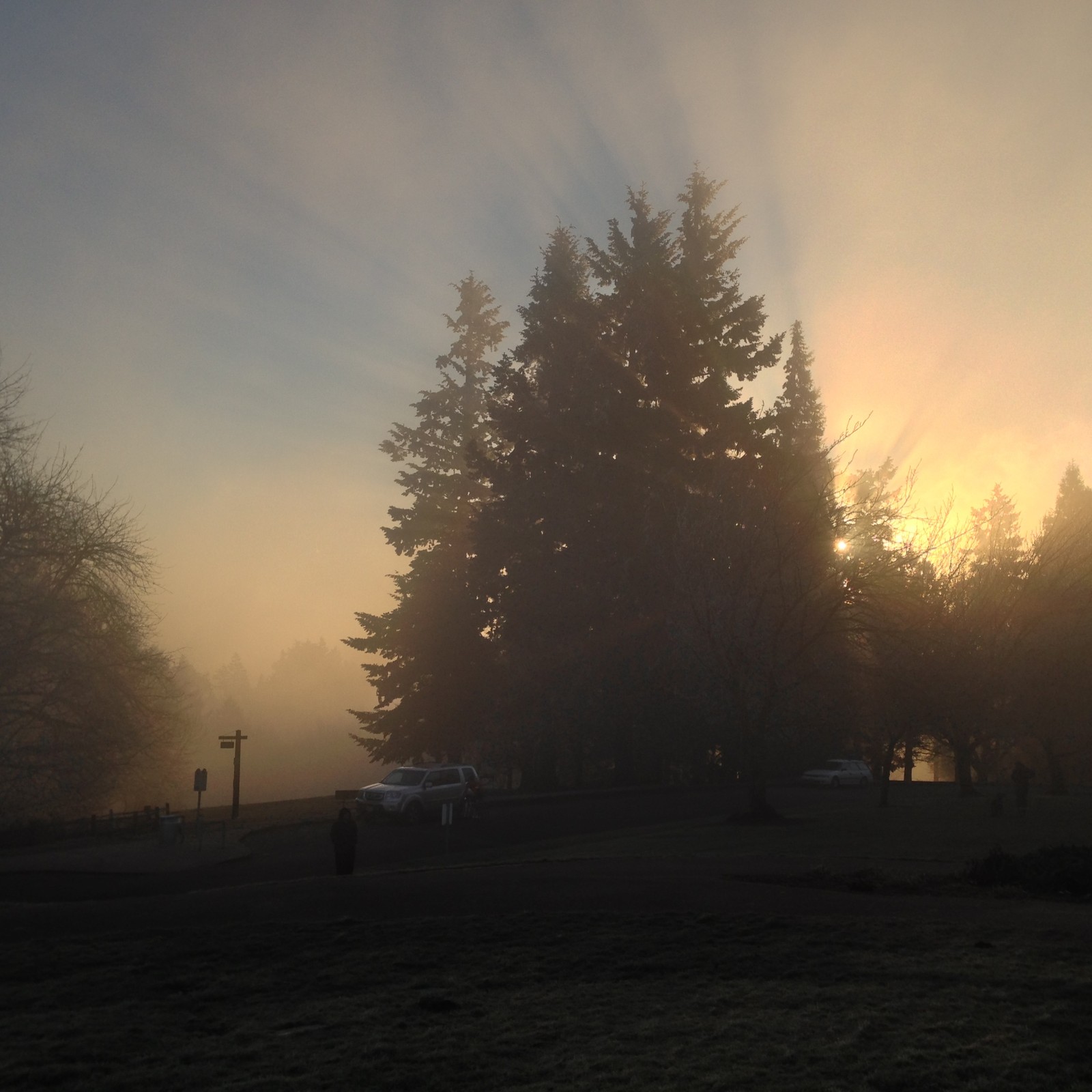 View from Council Crest toward Mt. Hood, which is NOT visible