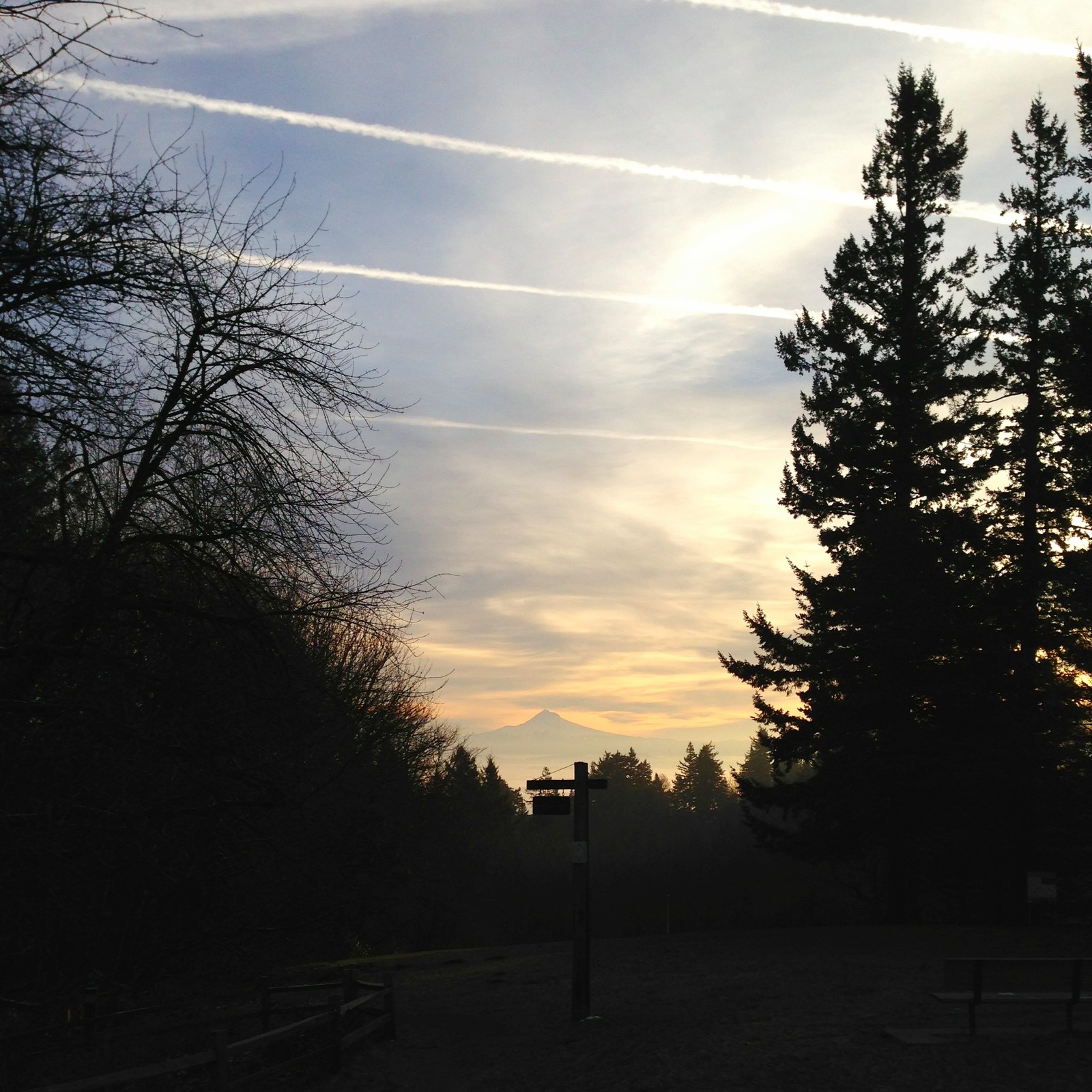 View from Council Crest toward Mt. Hood, which is visible