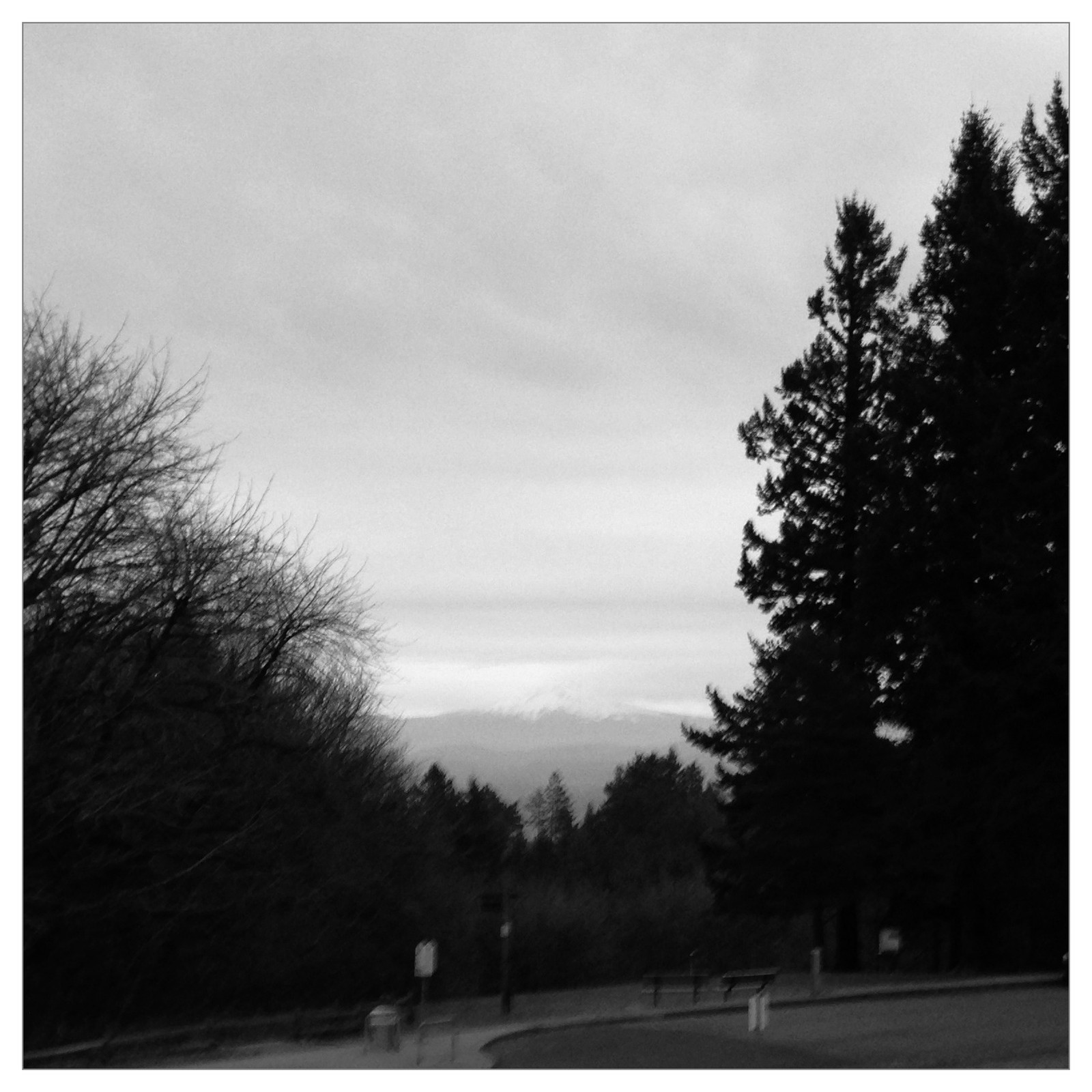 View from Council Crest toward Mt. Hood, which is visible