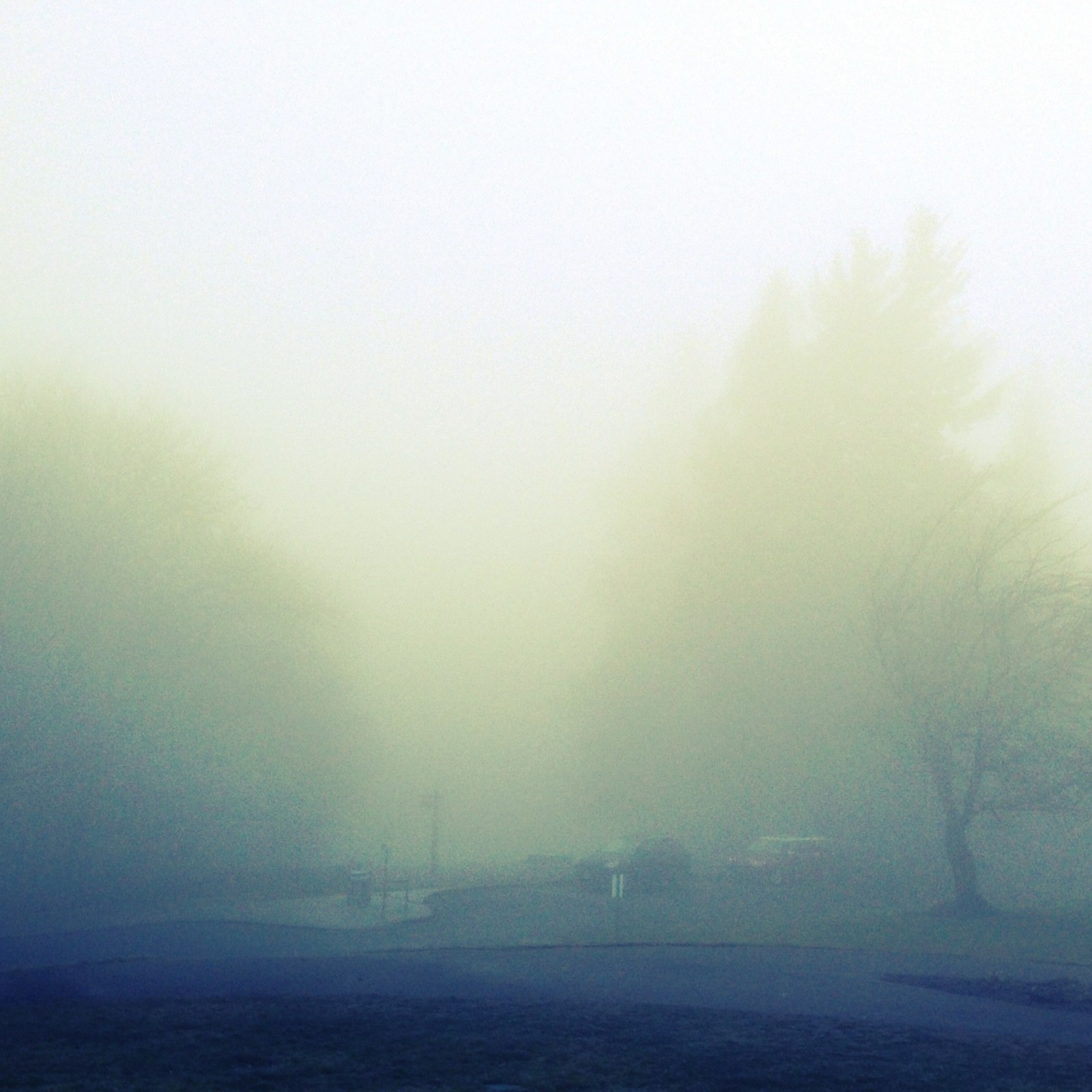 View from Council Crest toward Mt. Hood, which is NOT visible