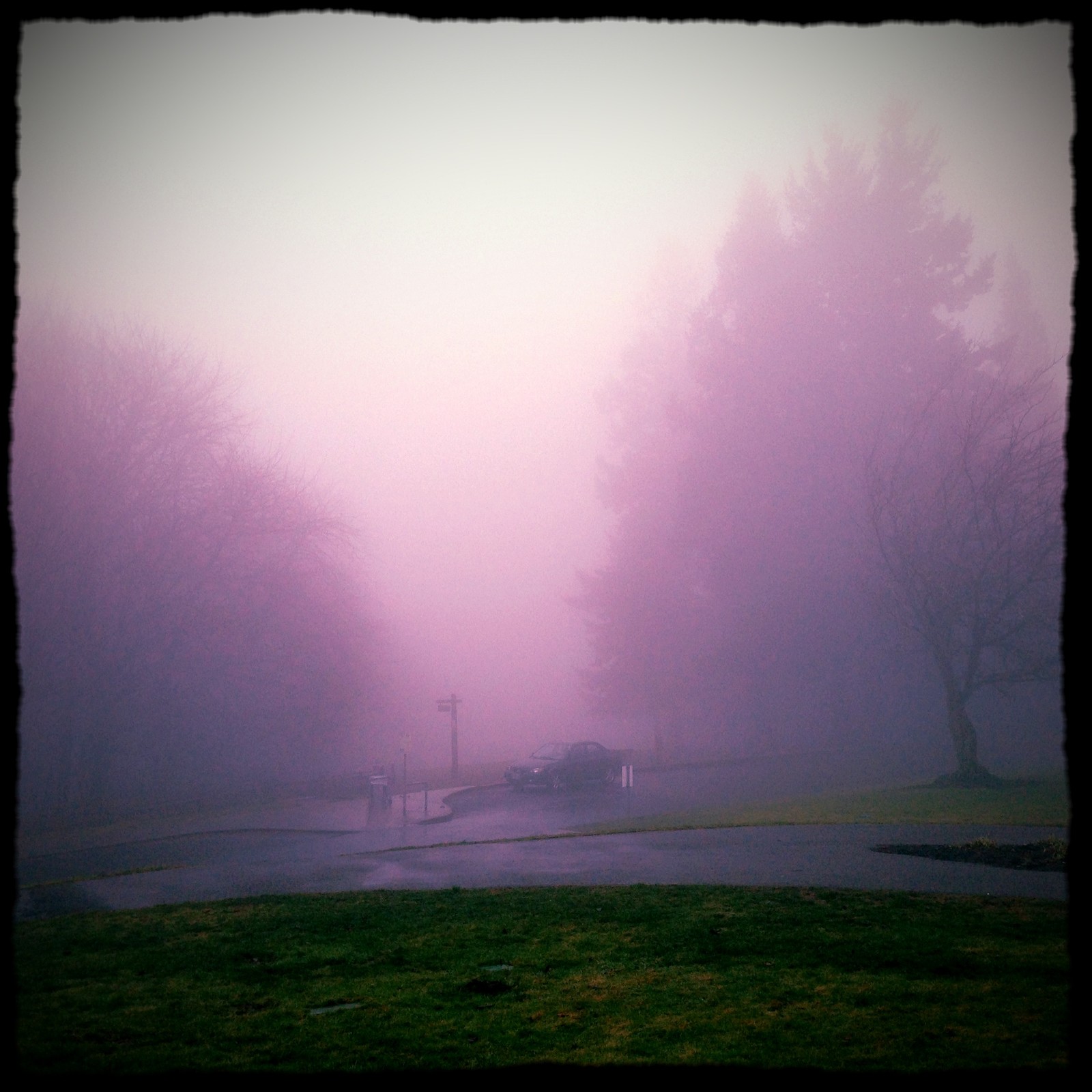 View from Council Crest toward Mt. Hood, which is NOT visible