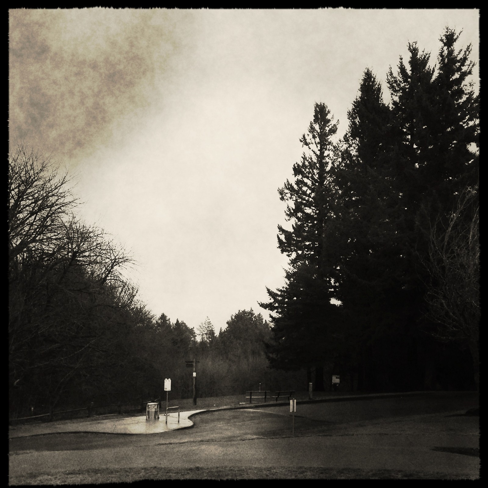 View from Council Crest toward Mt. Hood, which is NOT visible