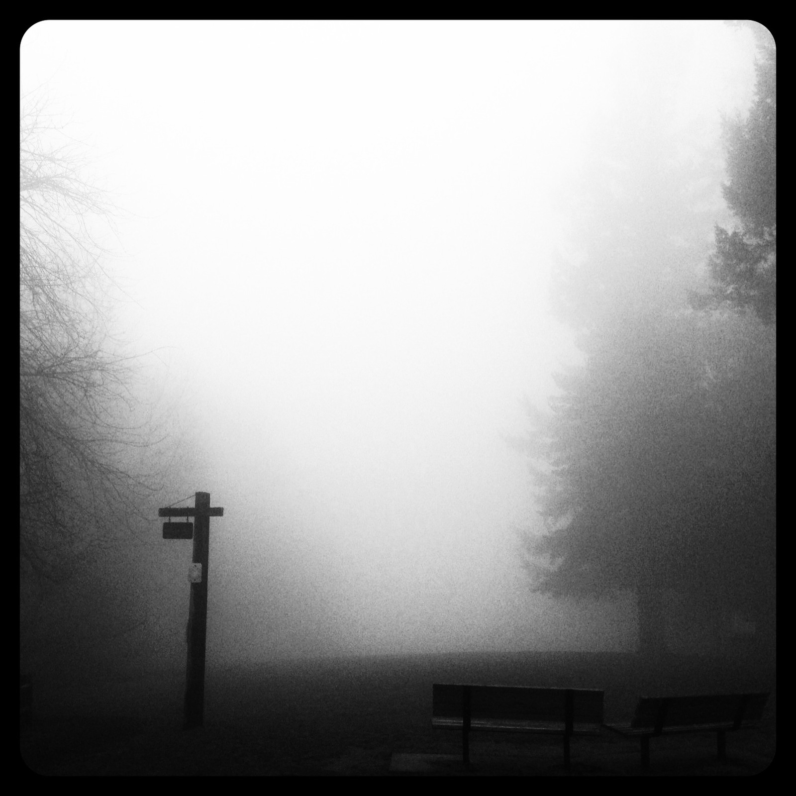 View from Council Crest toward Mt. Hood, which is NOT visible
