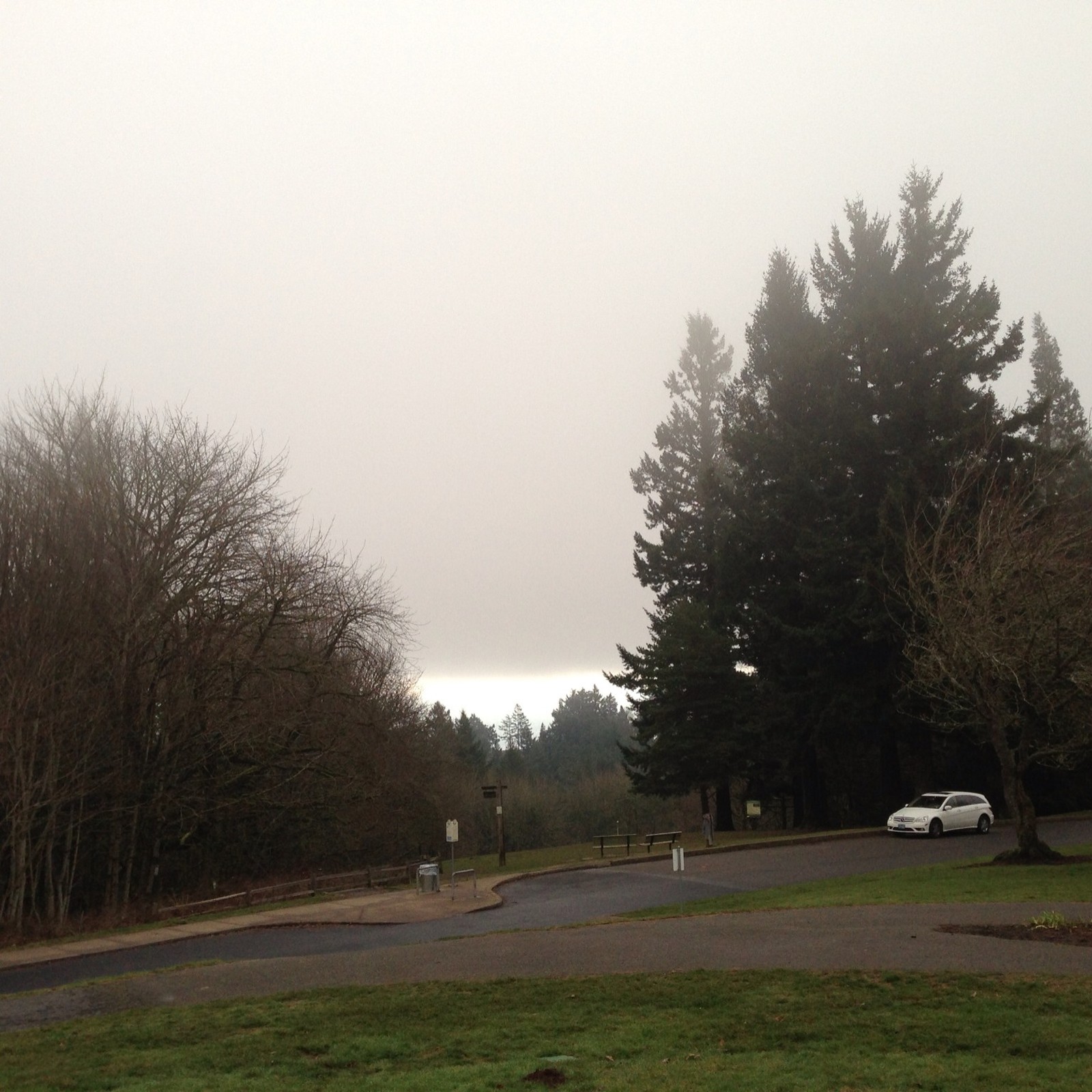 View from Council Crest toward Mt. Hood, which is NOT visible