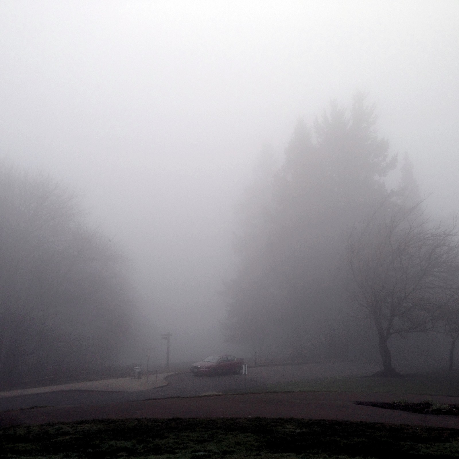 View from Council Crest toward Mt. Hood, which is NOT visible