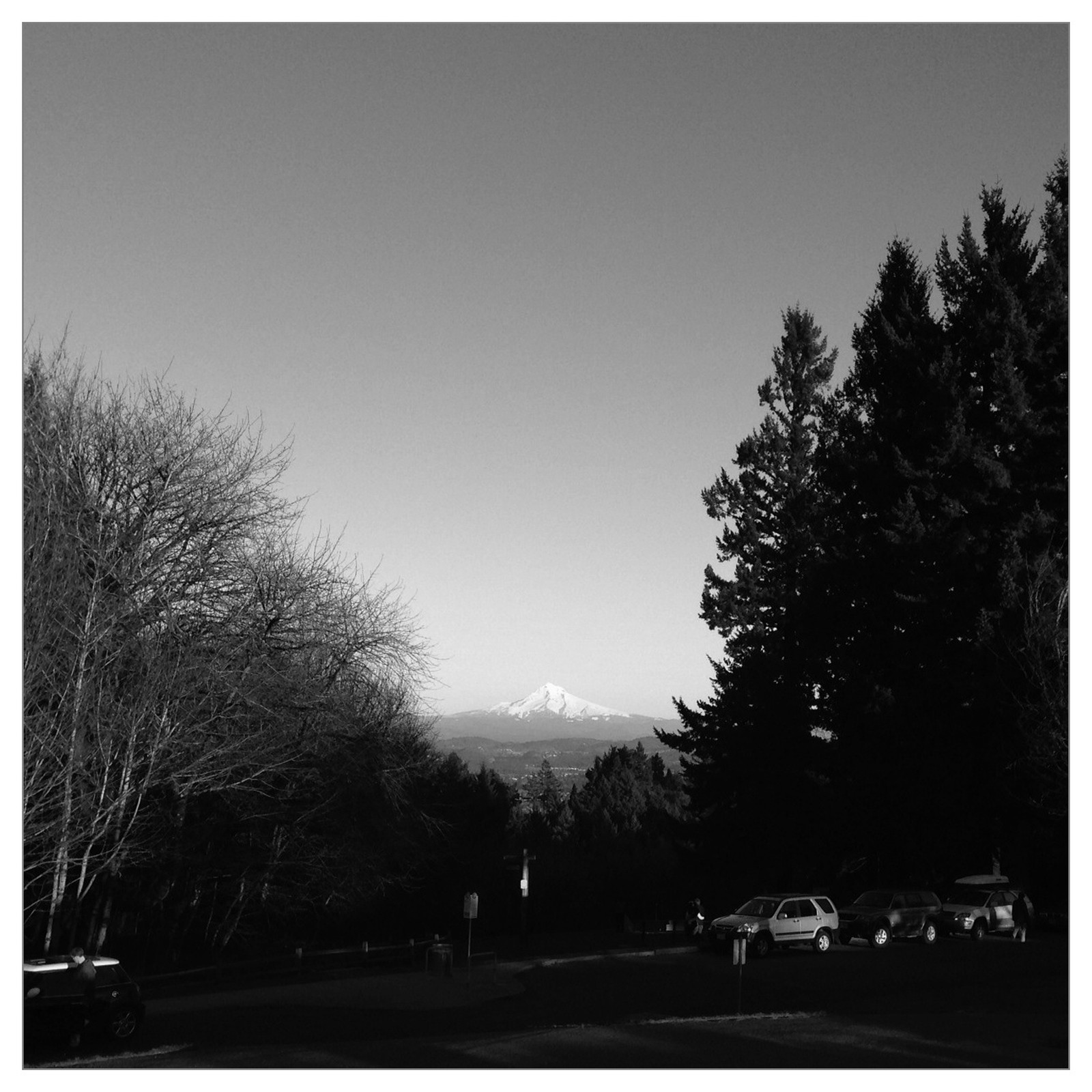 View from Council Crest toward Mt. Hood, which is visible