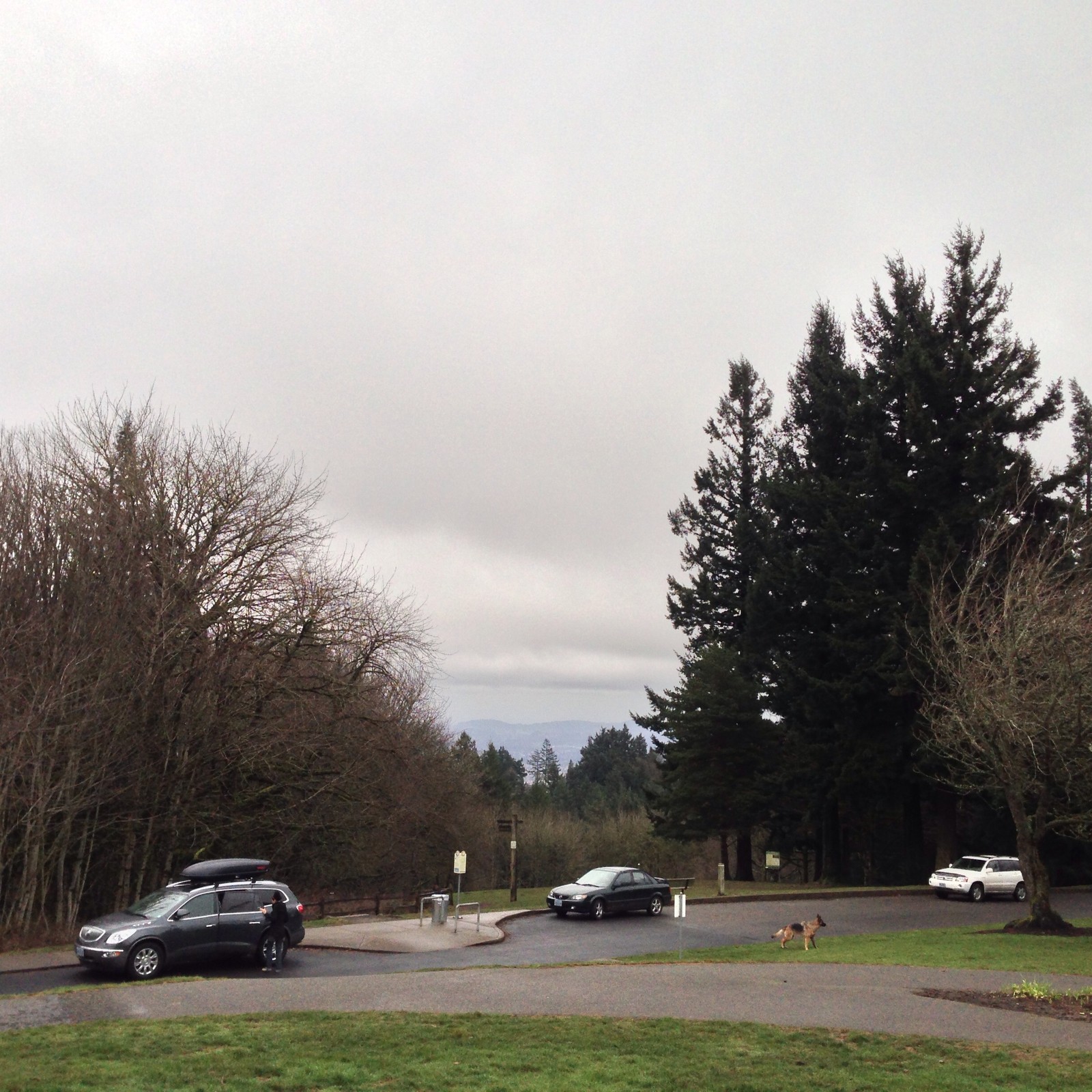 View from Council Crest toward Mt. Hood, which is NOT visible
