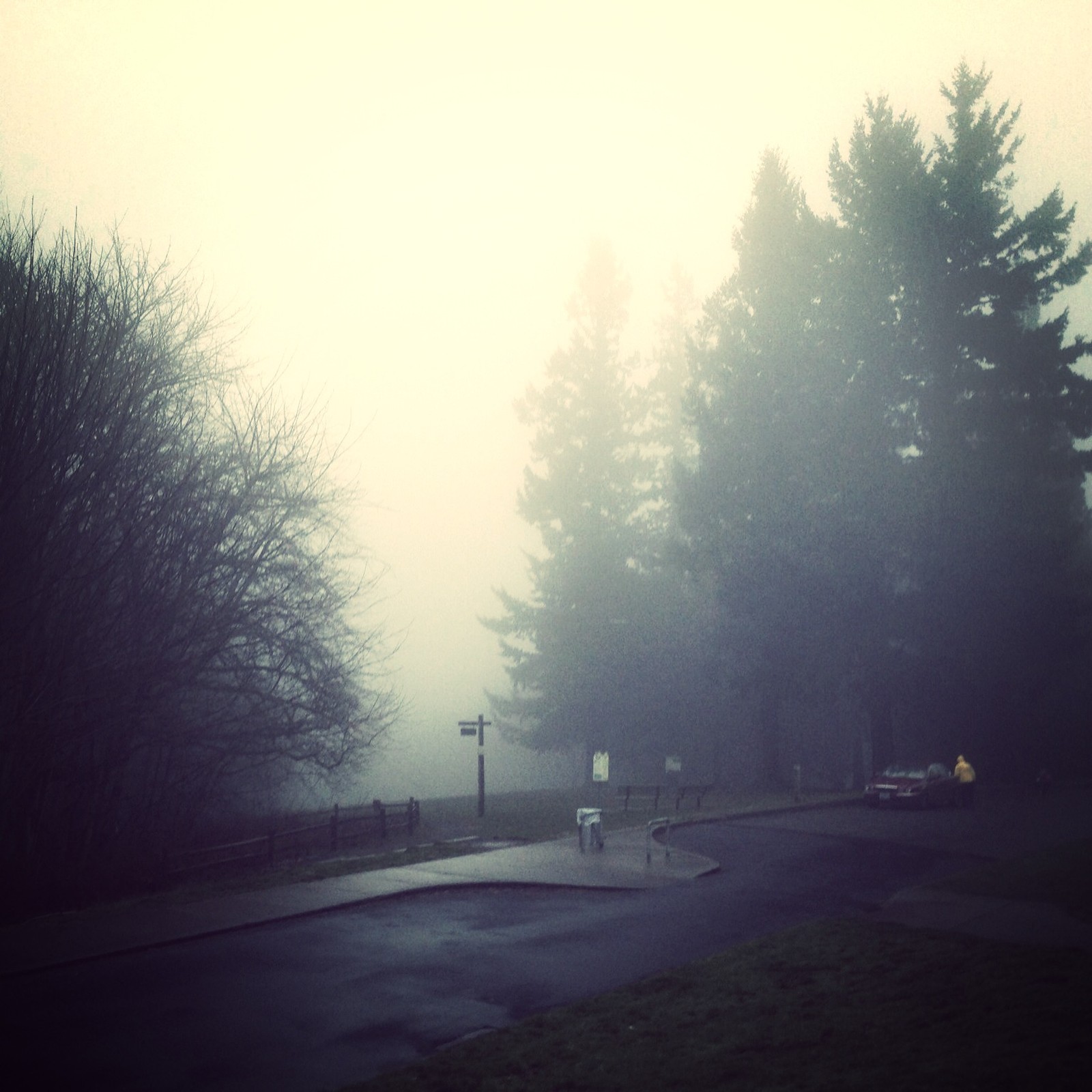 View from Council Crest toward Mt. Hood, which is NOT visible