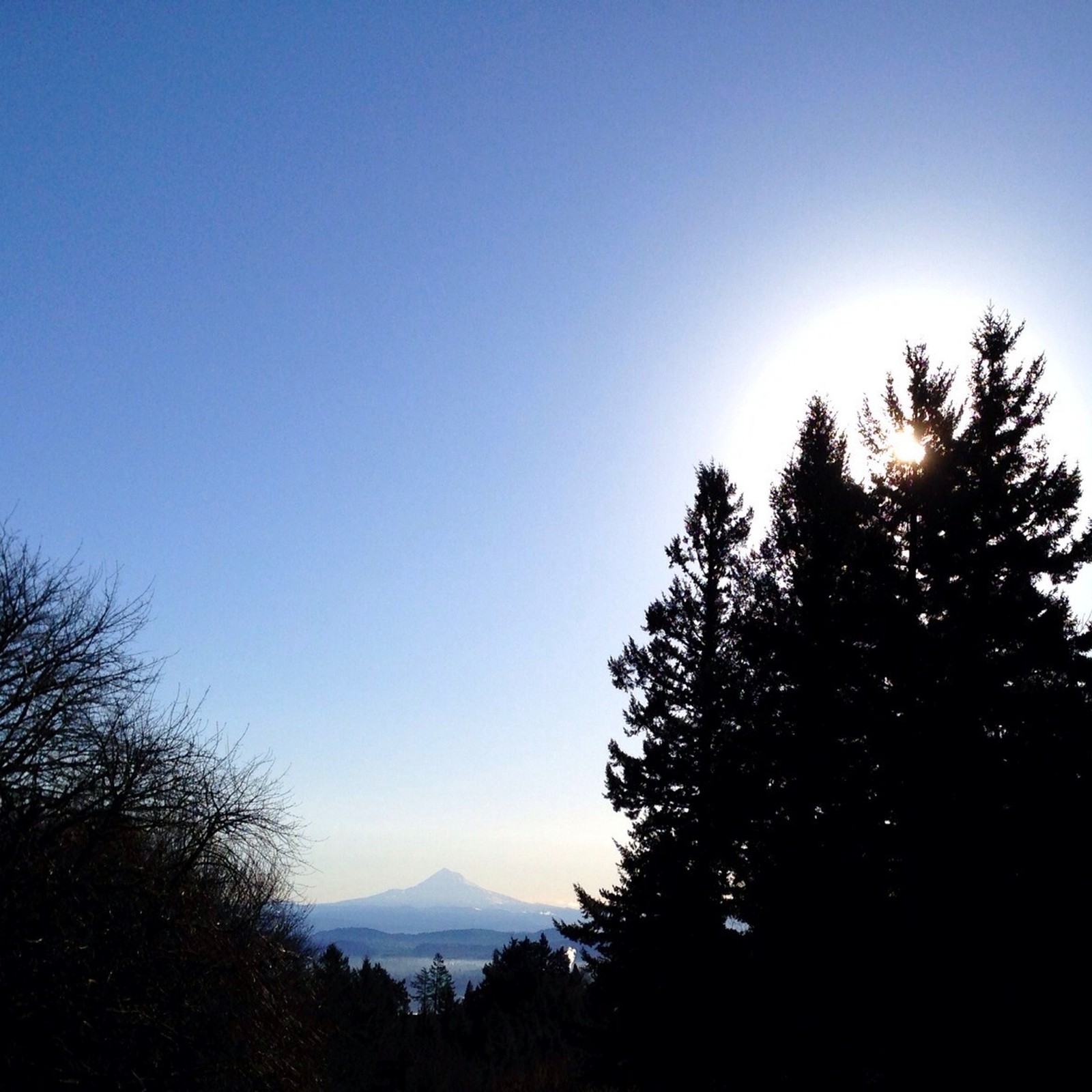 View from Council Crest toward Mt. Hood, which is visible