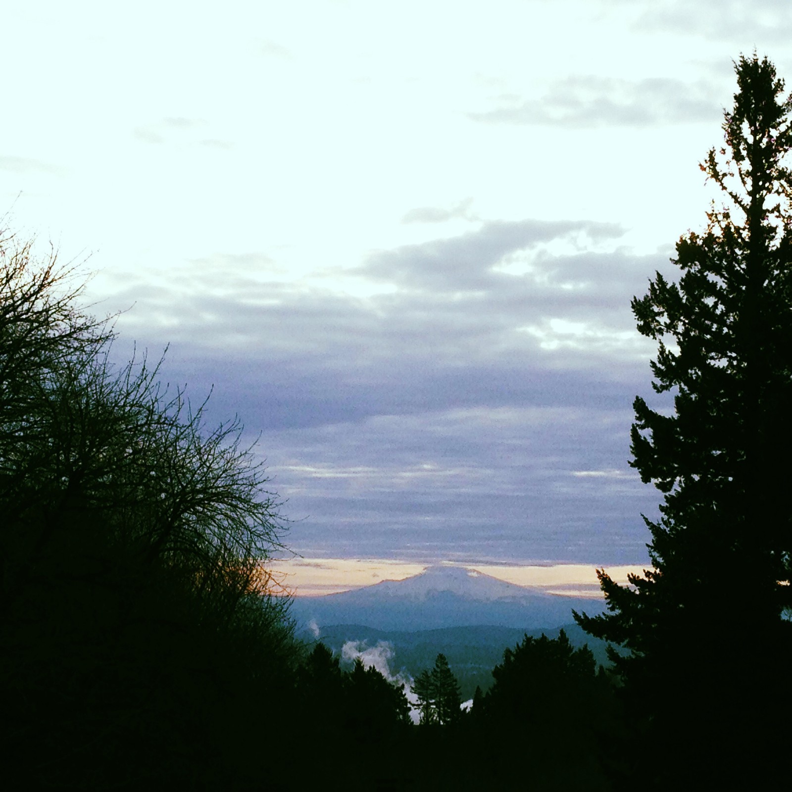 View from Council Crest toward Mt. Hood, which is visible