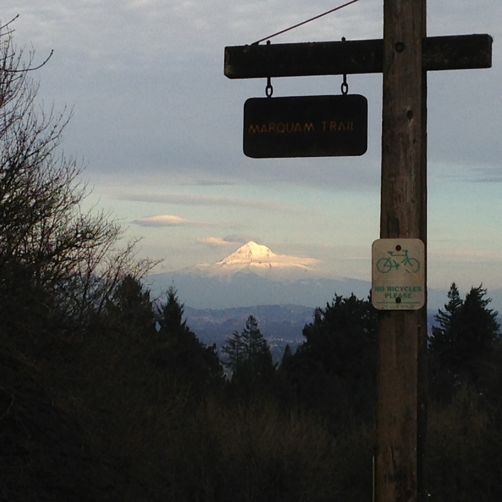 View from Council Crest toward Mt. Hood, which is visible