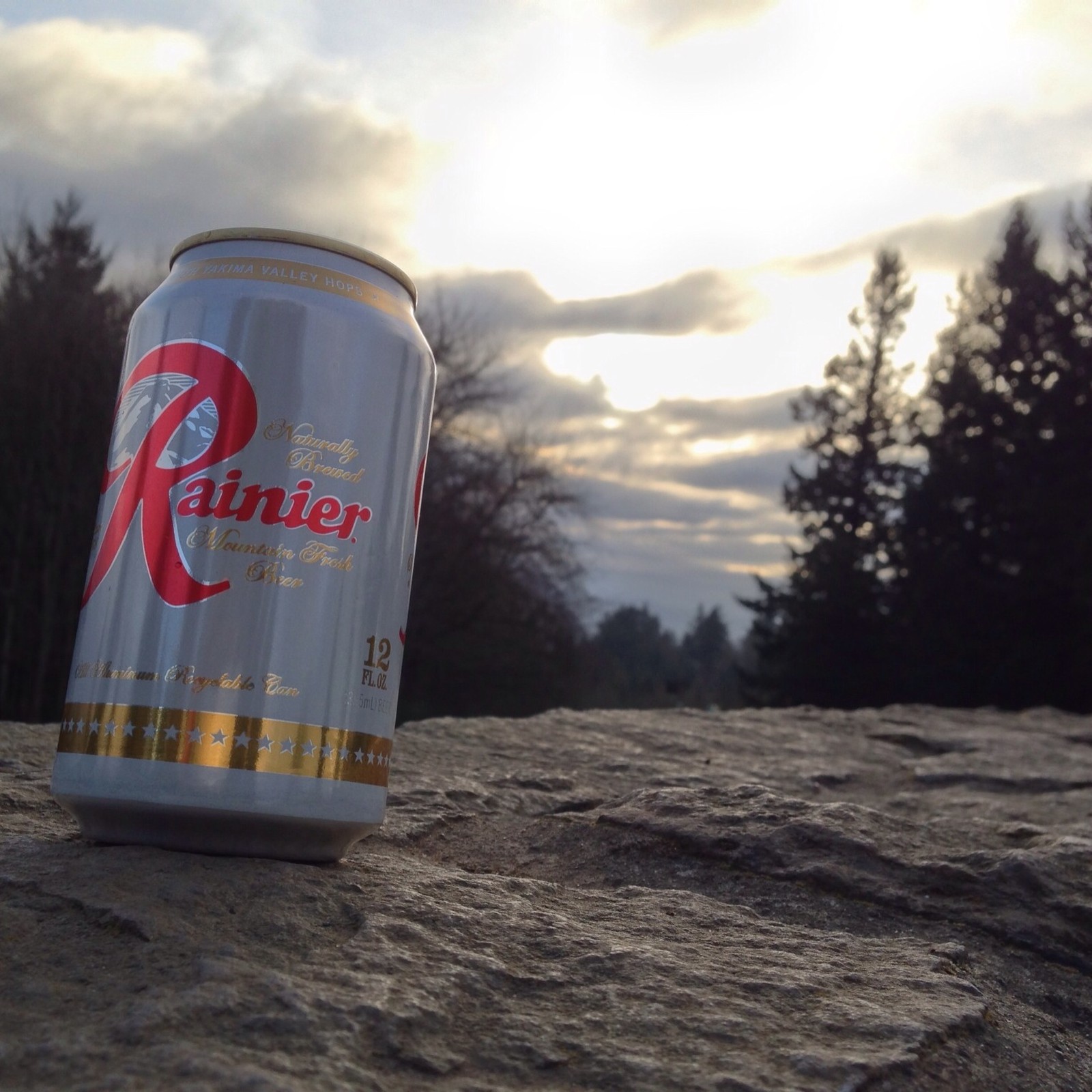 View from Council Crest toward Mt. Hood, which is NOT visible