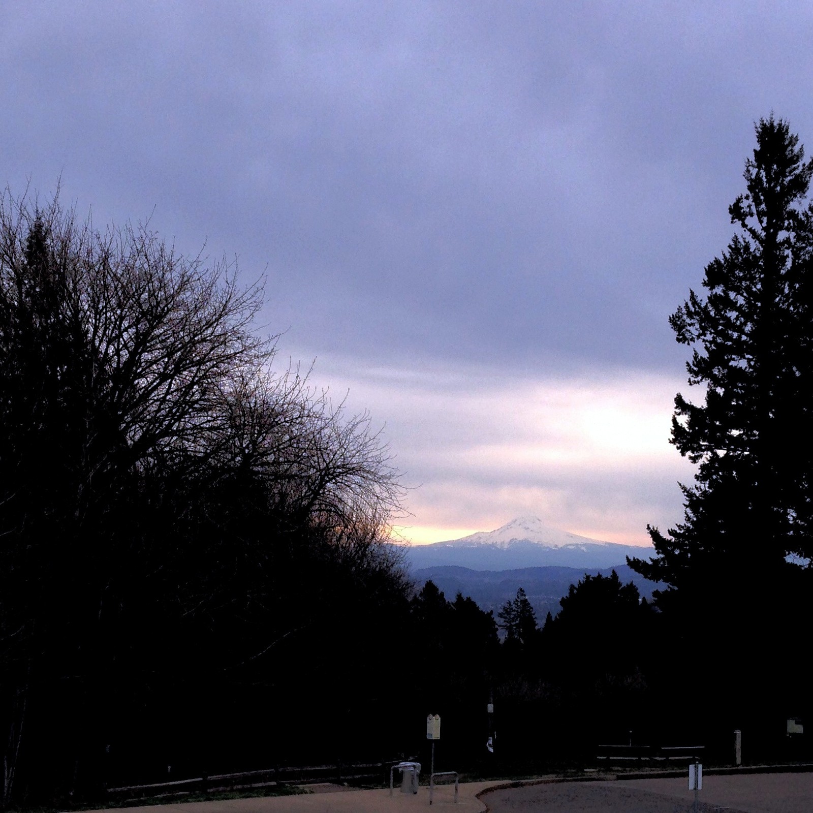 View from Council Crest toward Mt. Hood, which is visible
