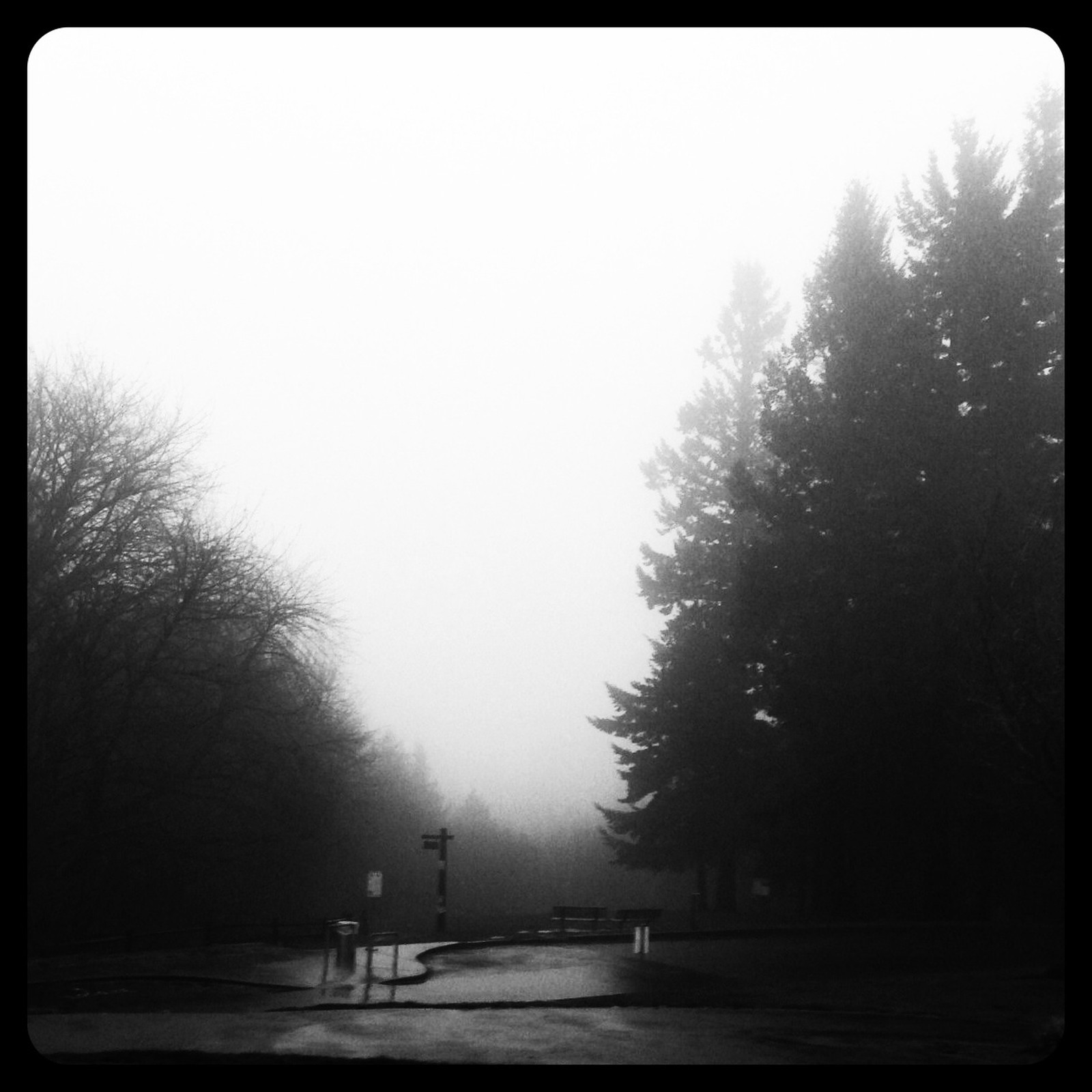 View from Council Crest toward Mt. Hood, which is NOT visible