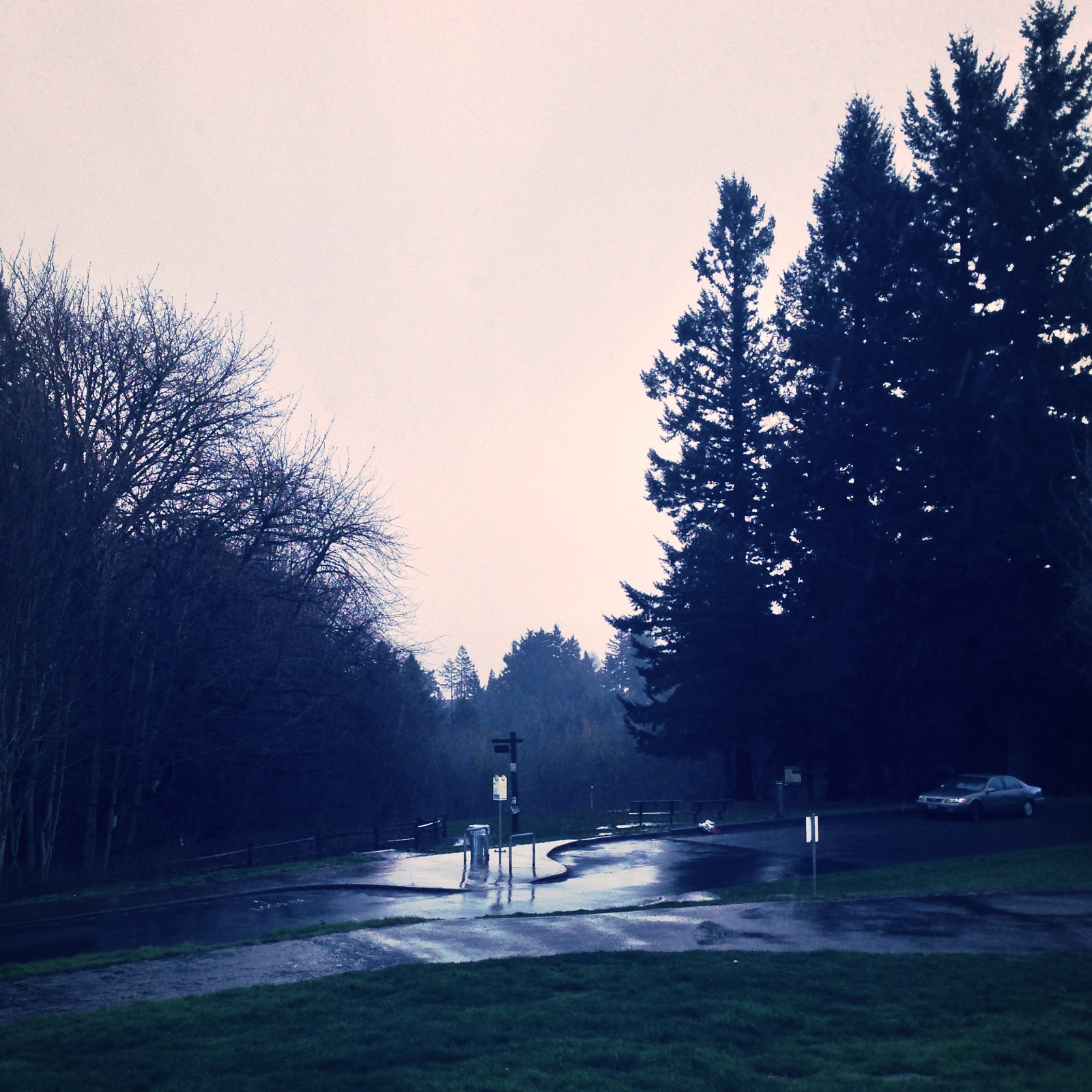 View from Council Crest toward Mt. Hood, which is NOT visible