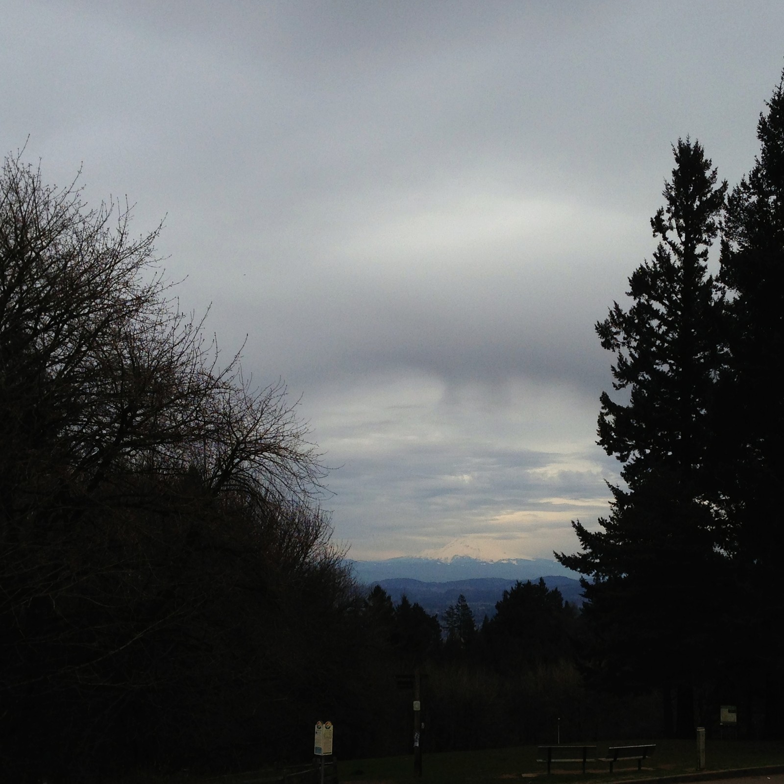 View from Council Crest toward Mt. Hood, which is visible