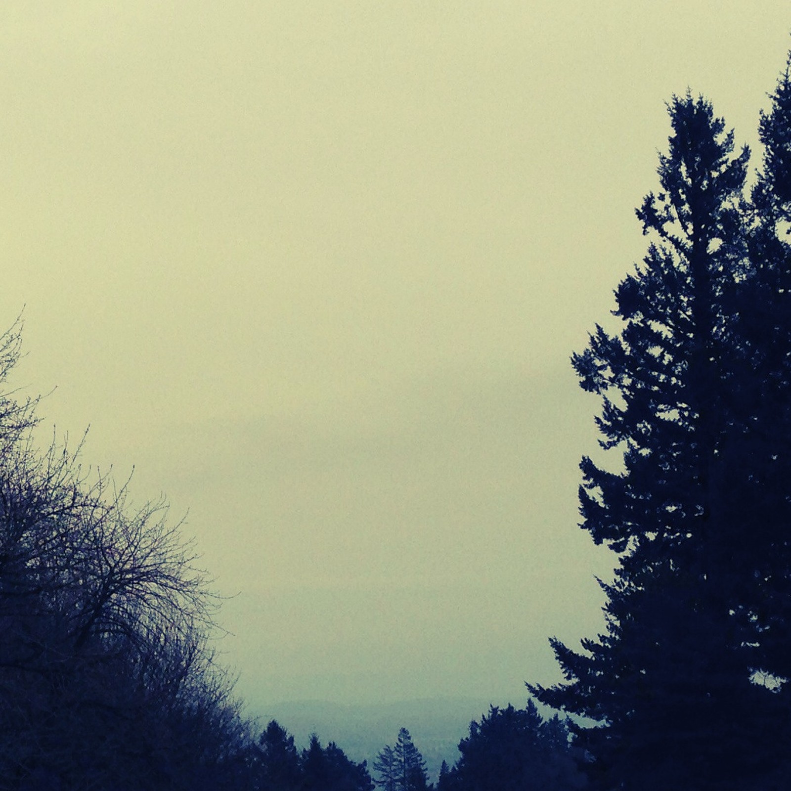 View from Council Crest toward Mt. Hood, which is NOT visible