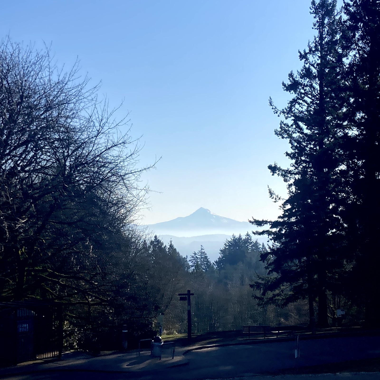 View from Council Crest toward Mt. Hood, which is visible