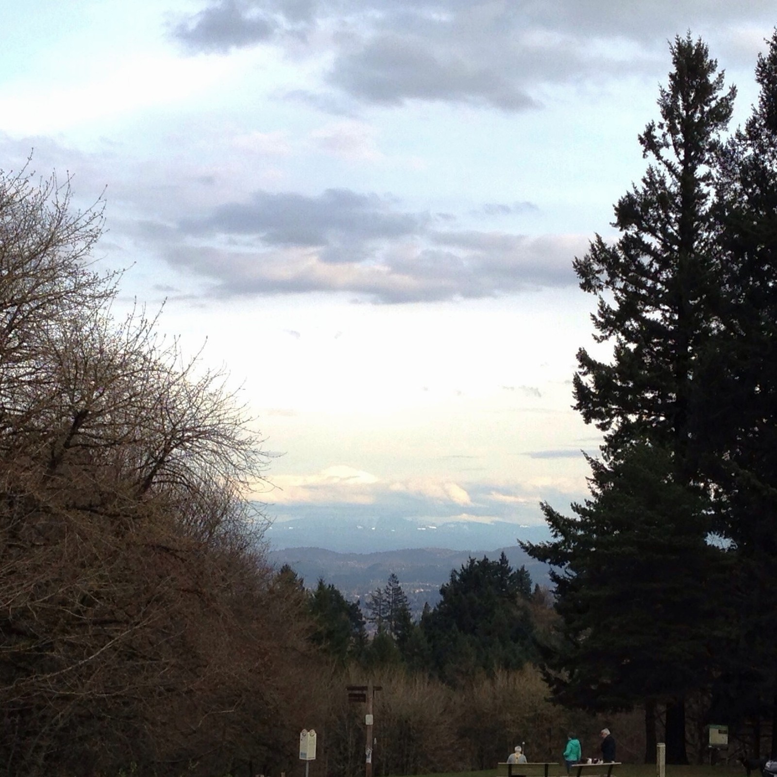 View from Council Crest toward Mt. Hood, which is NOT visible