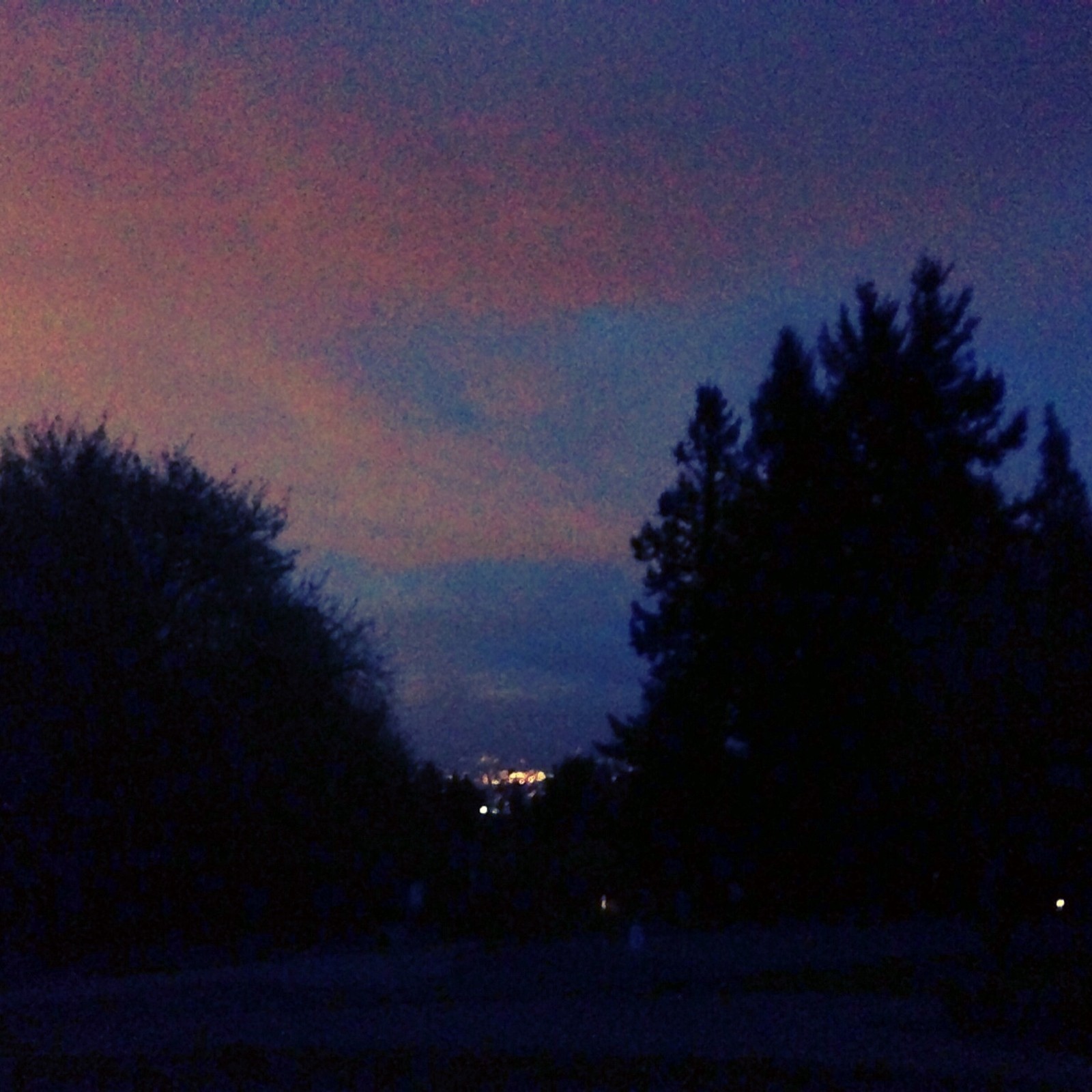 View from Council Crest toward Mt. Hood, which is NOT visible