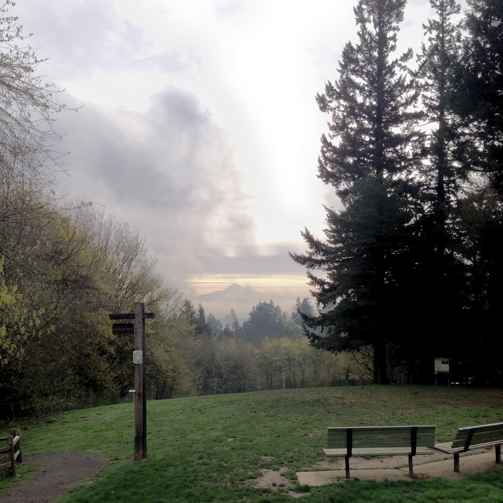 View from Council Crest toward Mt. Hood, which is visible