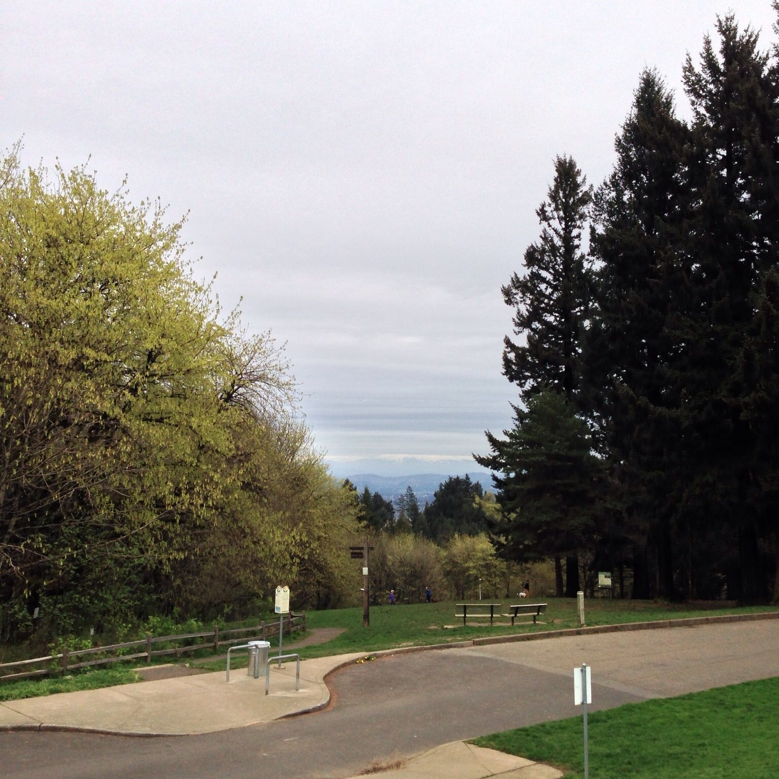 View from Council Crest toward Mt. Hood, which is NOT visible