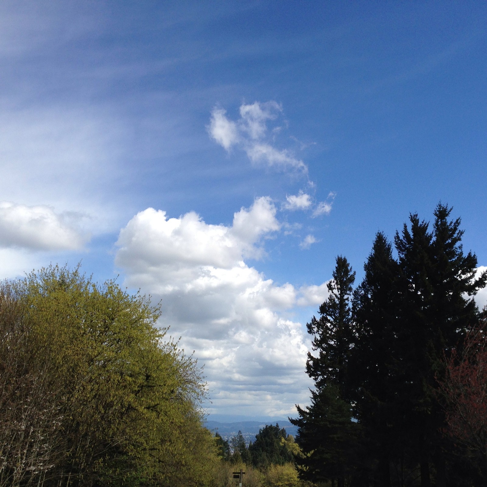 View from Council Crest toward Mt. Hood, which is NOT visible