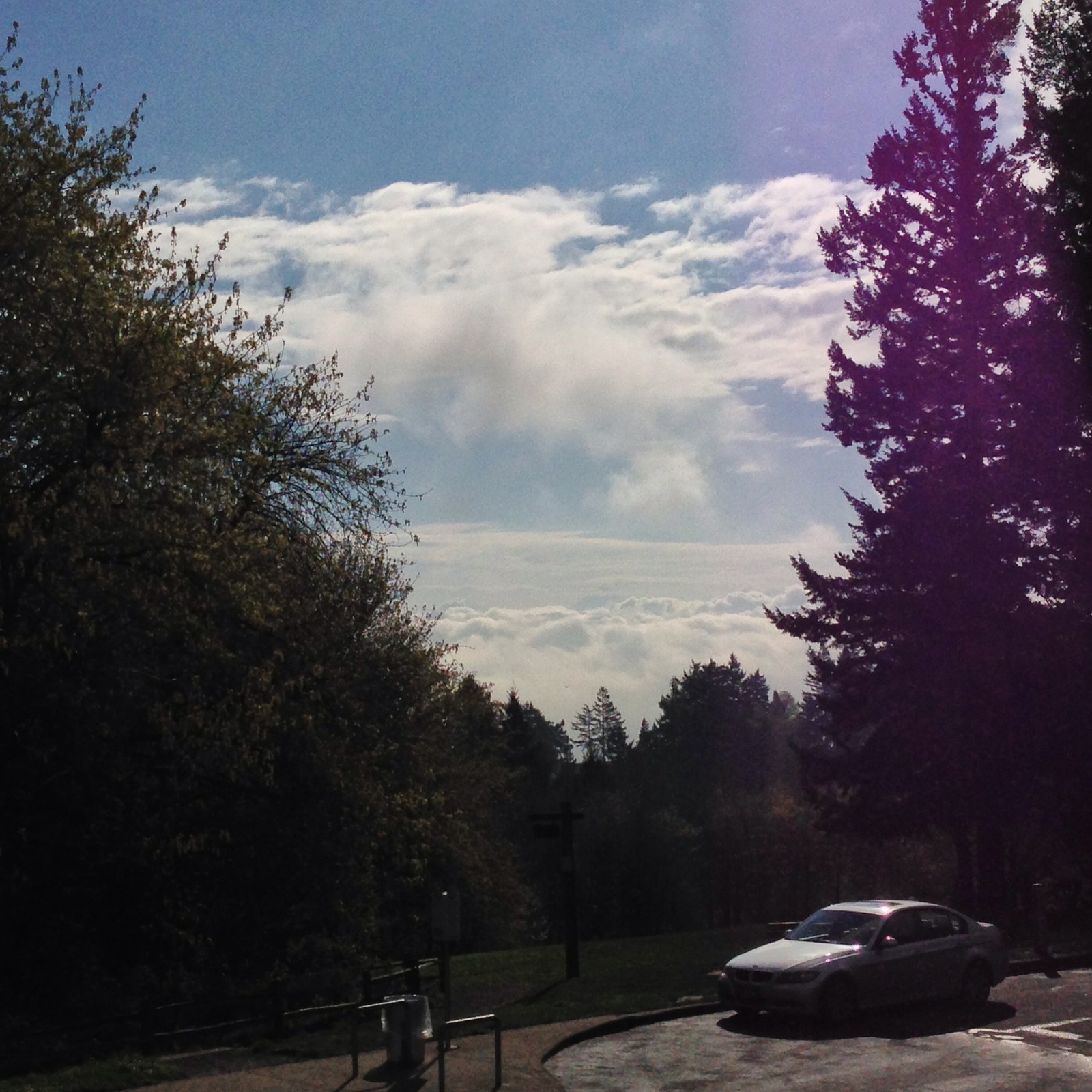 View from Council Crest toward Mt. Hood, which is visible