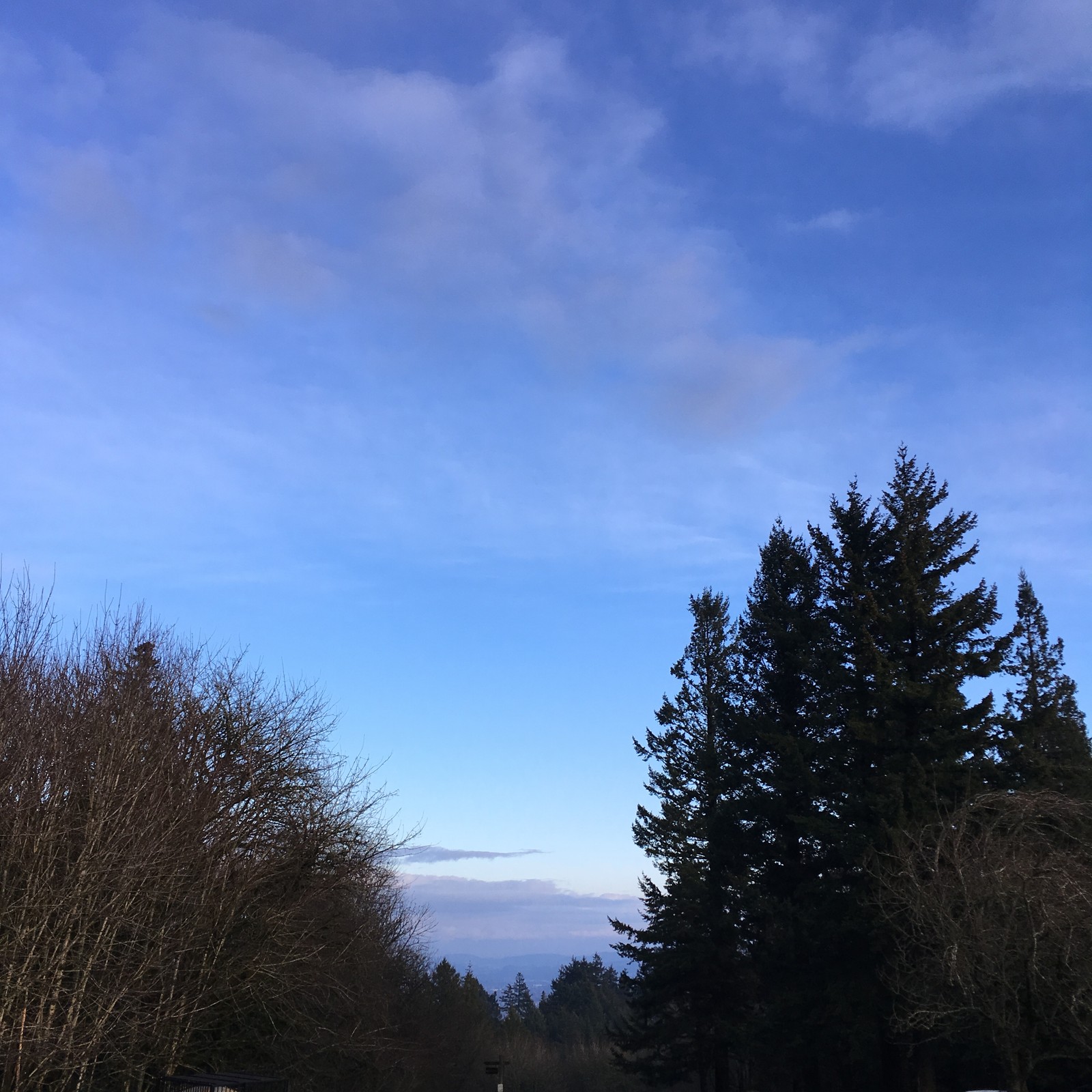View from Council Crest toward Mt. Hood, which is NOT visible