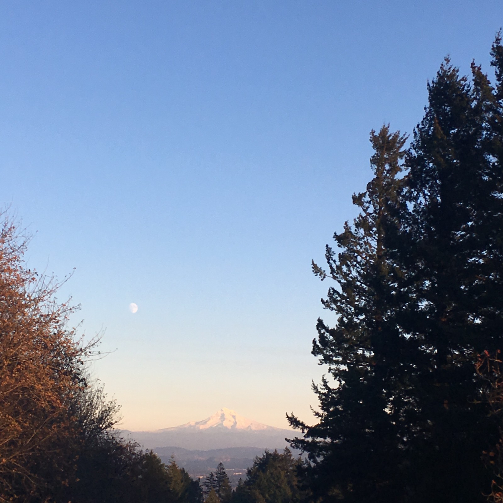 View from Council Crest toward Mt. Hood, which is visible