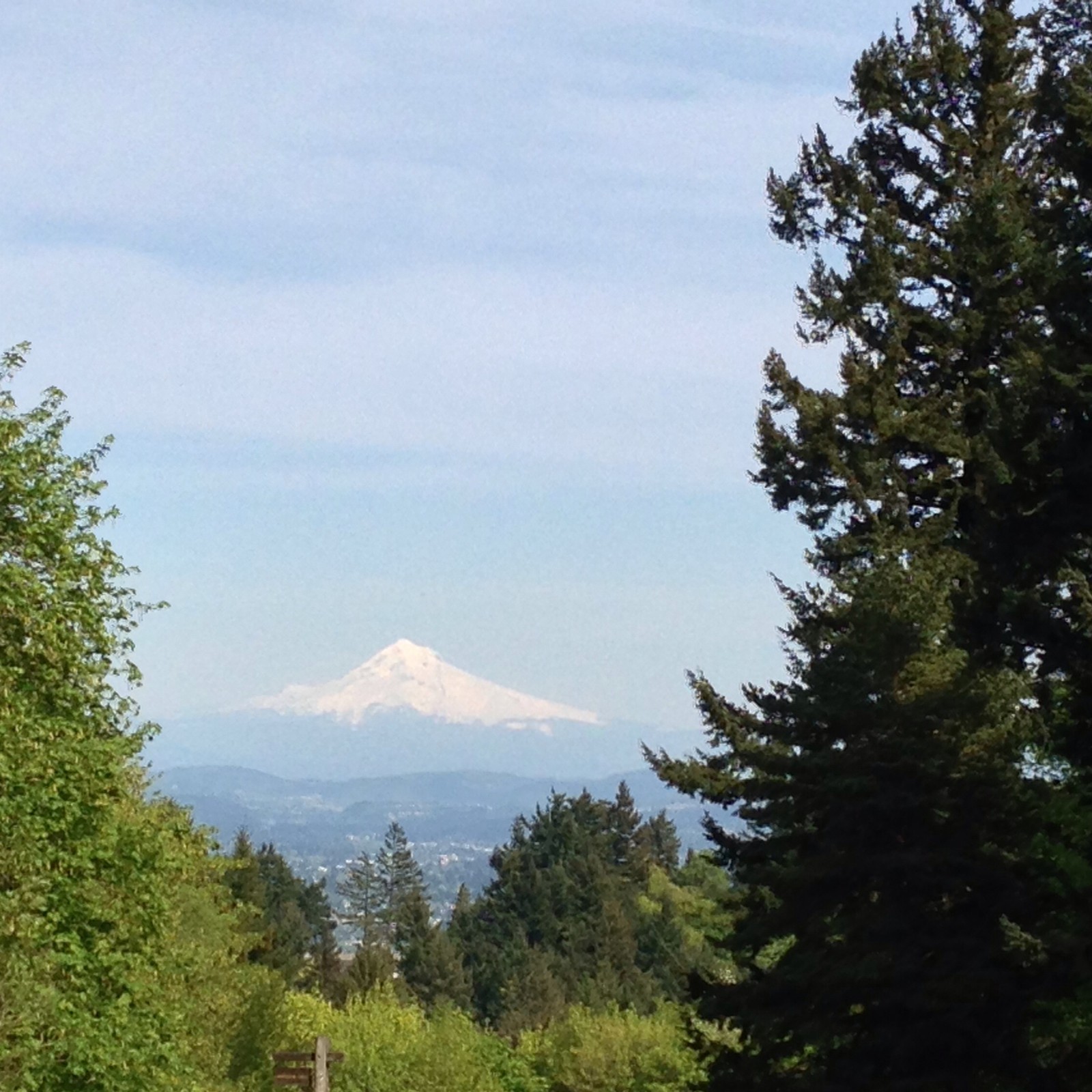 View from Council Crest toward Mt. Hood, which is visible