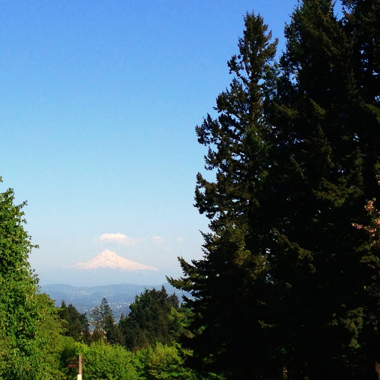 View from Council Crest toward Mt. Hood, which is visible