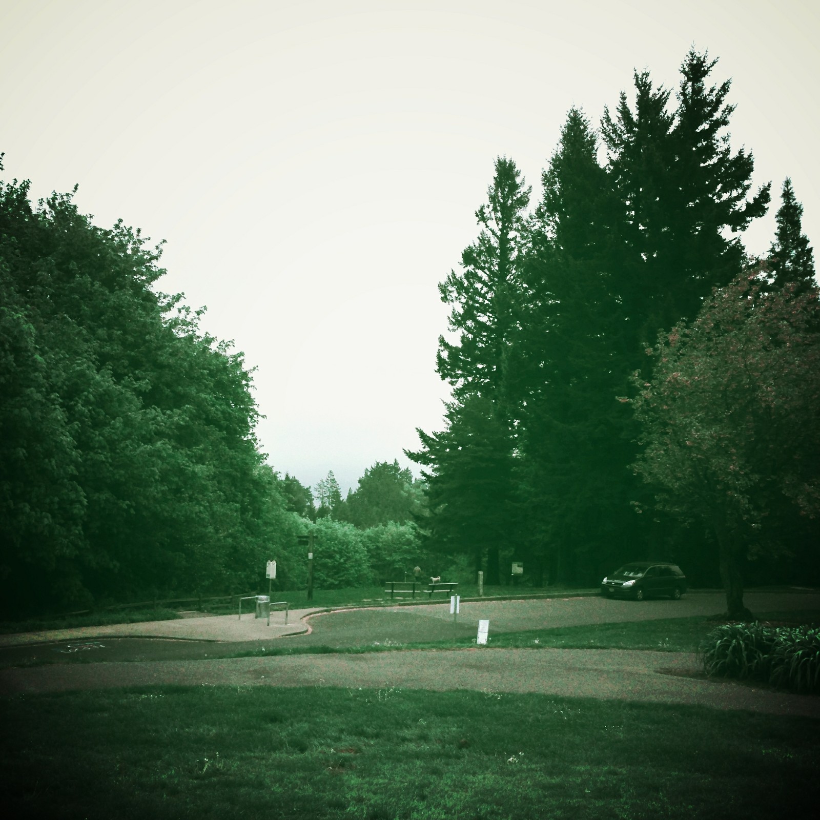 View from Council Crest toward Mt. Hood, which is NOT visible