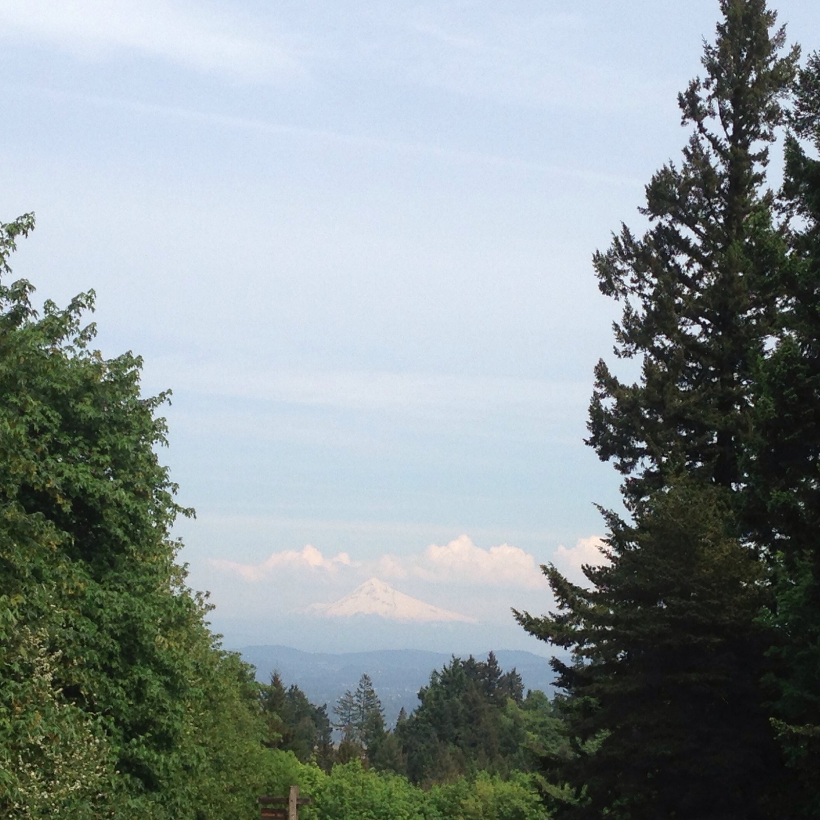 View from Council Crest toward Mt. Hood, which is visible