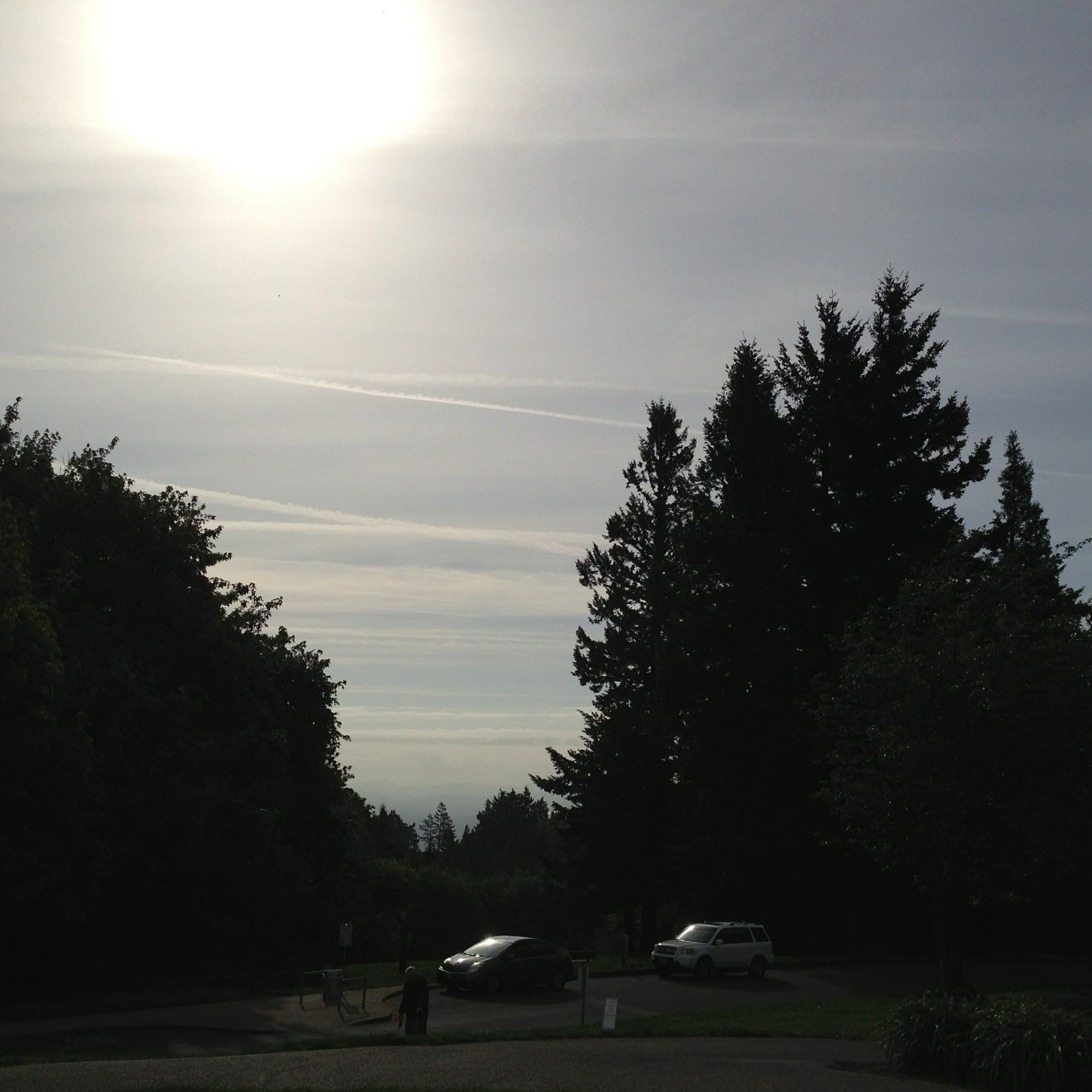 View from Council Crest toward Mt. Hood, which is NOT visible