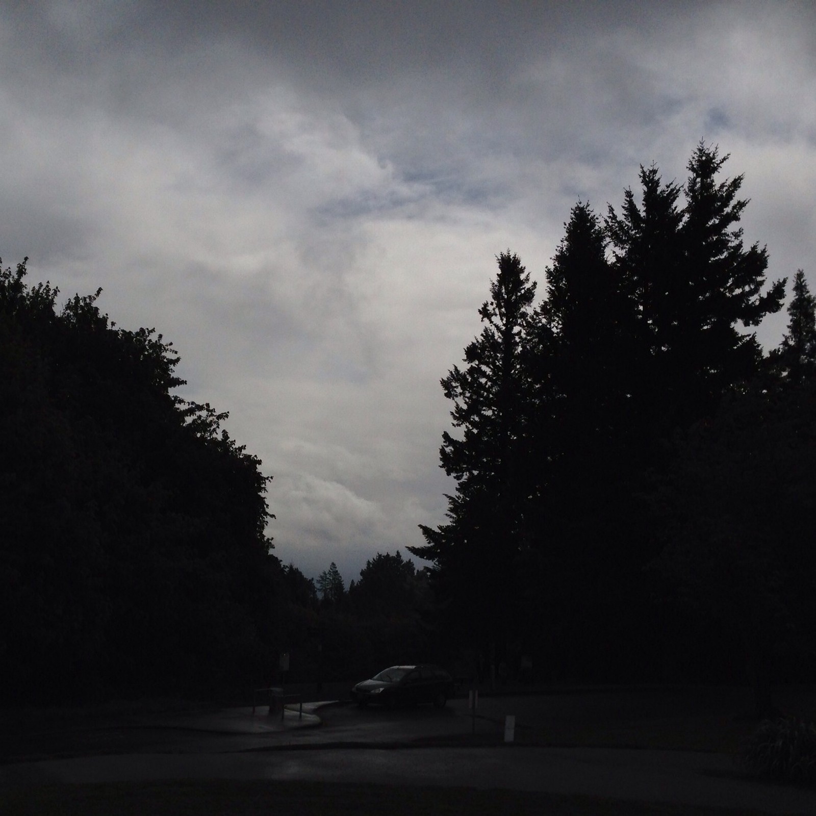 View from Council Crest toward Mt. Hood, which is NOT visible
