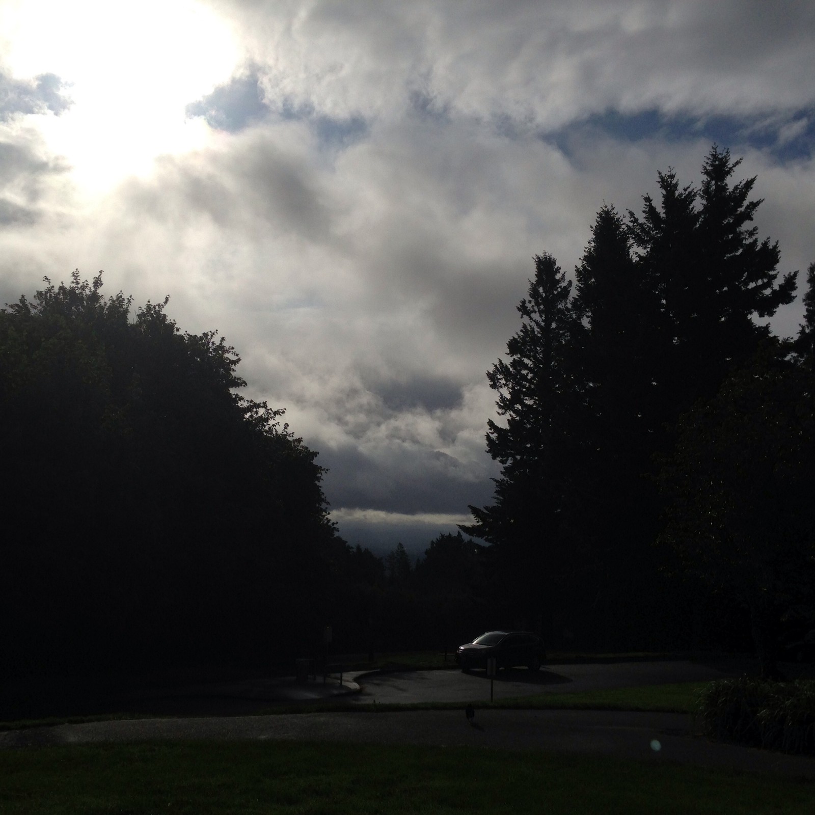 View from Council Crest toward Mt. Hood, which is NOT visible